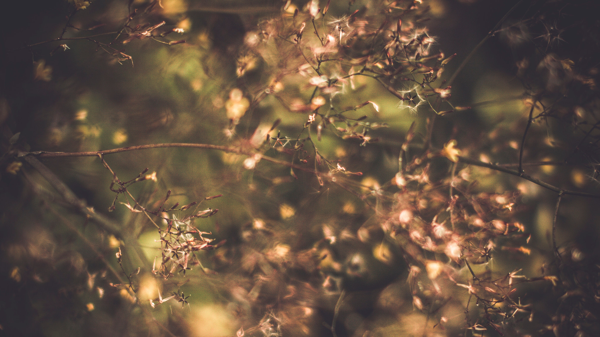 Sigma 50mm F1.4 EX DG HSM sample photo. Polykar's waterfall photography