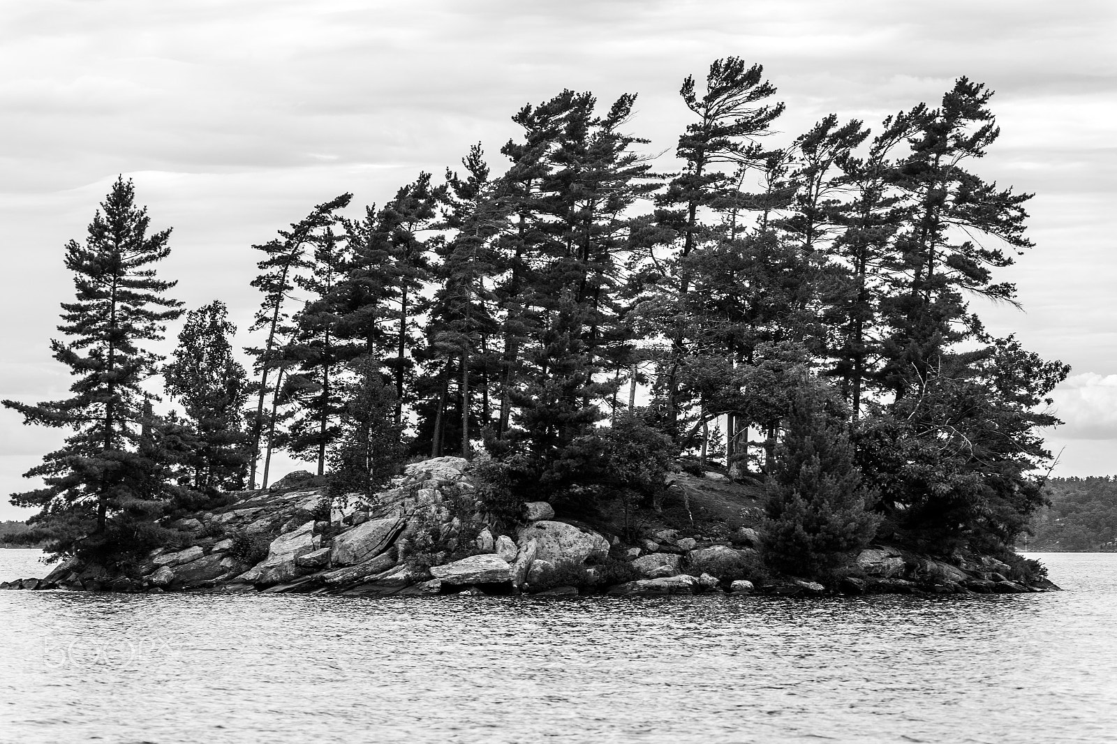 Sigma APO Macro 150mm f/2.8 EX DG HSM sample photo. Lake muskoka island photography