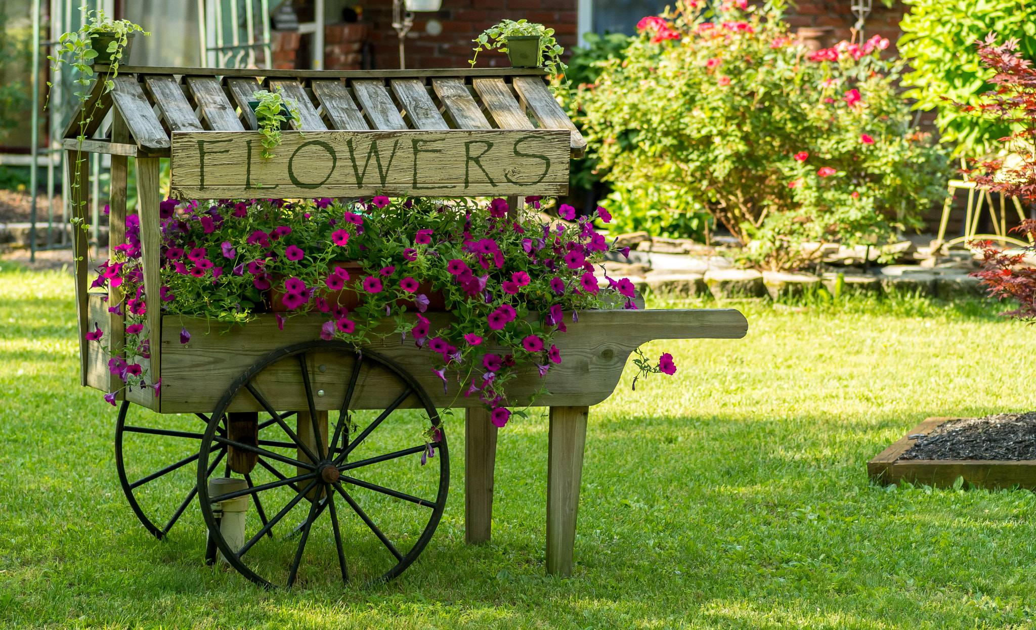 Pentax smc D-FA 100mm F2.8 Macro WR sample photo. Flower cart photography