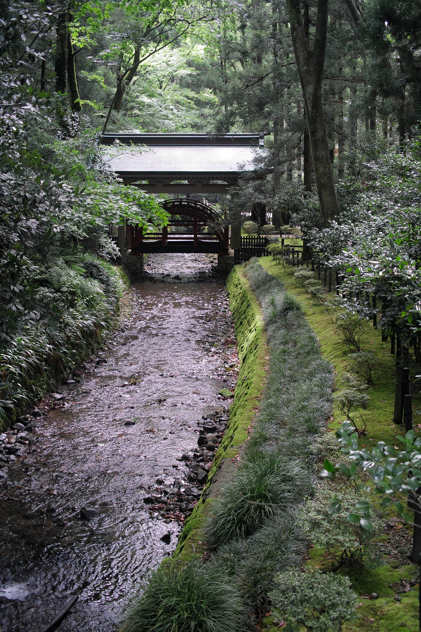Sigma DP2x sample photo. The quiet precincts of a shrine  静かな境内 photography