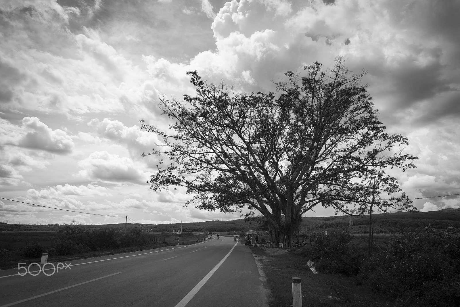 Nikon D610 + Nikon AF Nikkor 24mm F2.8D sample photo. Spreading to the sky photography