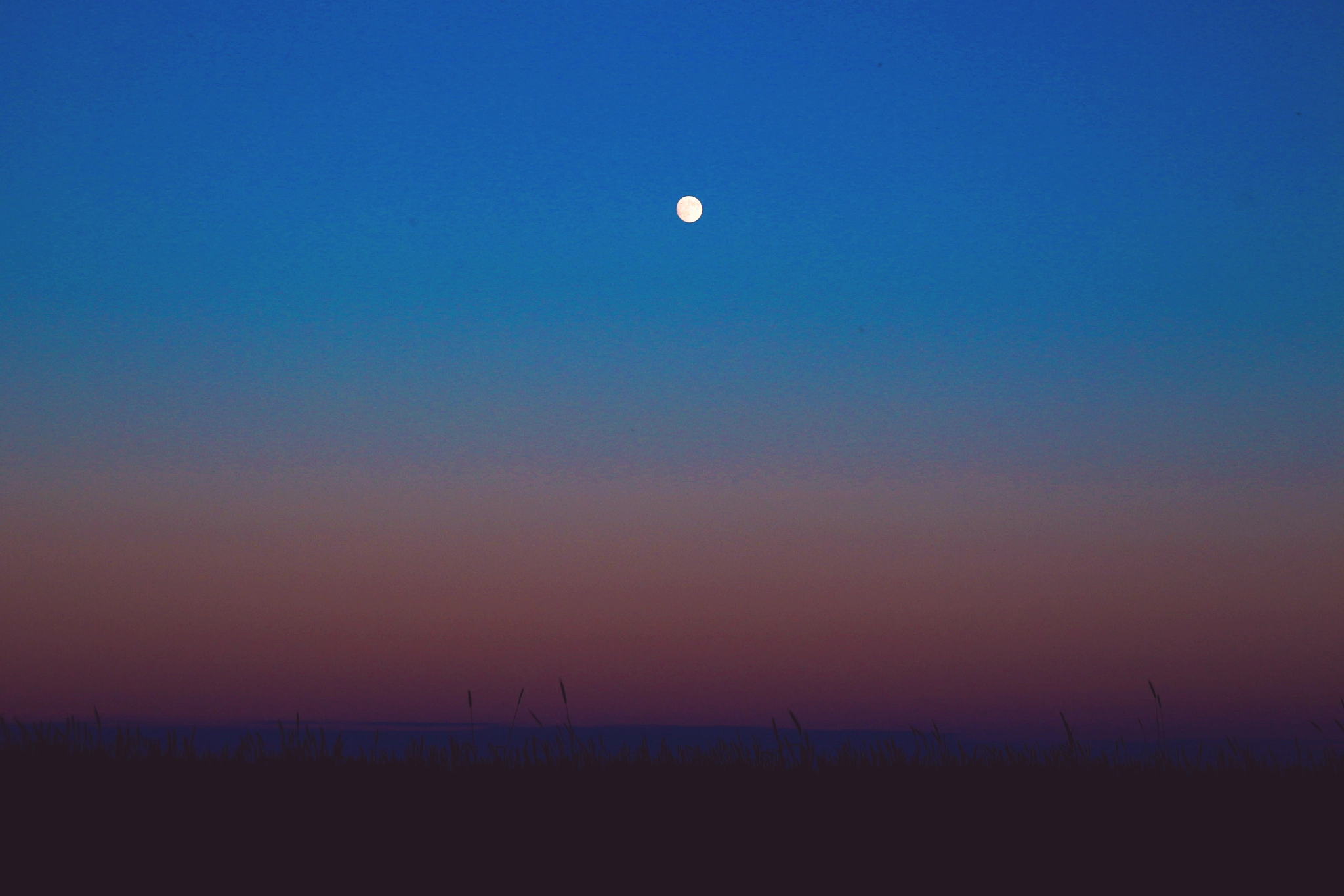 Canon EF-S 17-55mm F2.8 IS USM sample photo. I left the moon and he left me. photography