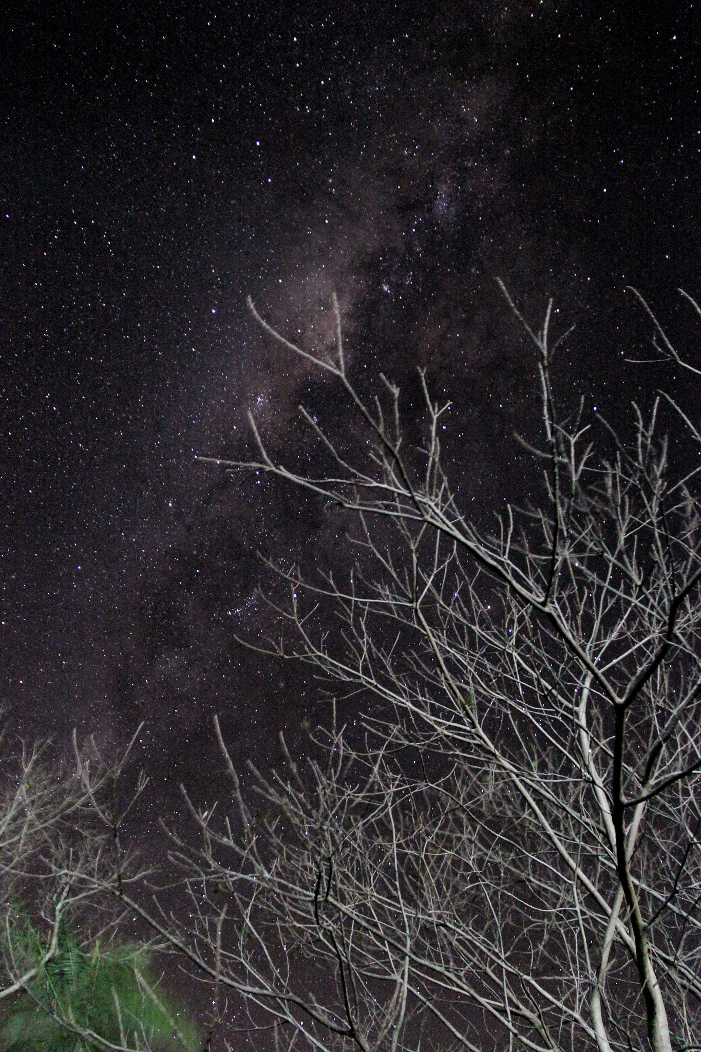 Canon EOS 1100D (EOS Rebel T3 / EOS Kiss X50) + Canon EF-S 18-200mm F3.5-5.6 IS sample photo. Soft as the milky way - rough as the winter trees photography