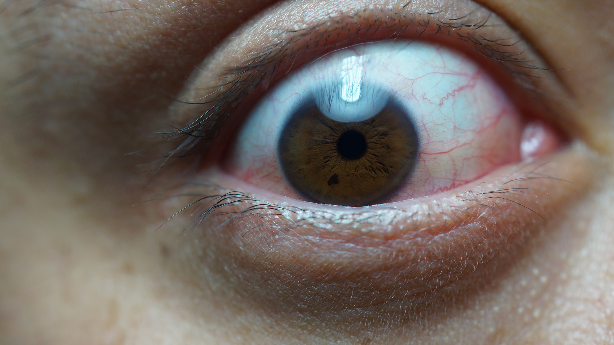 Sony SLT-A58 + Sony DT 30mm F2.8 Macro SAM sample photo. Redeye photography