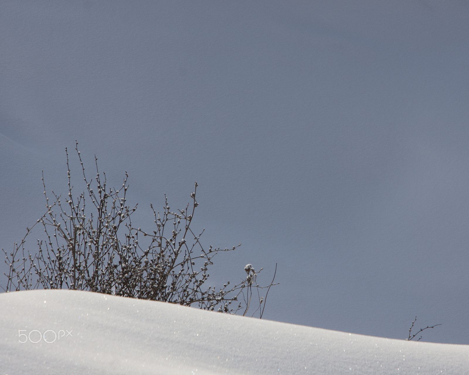 Canon EF 70-200mm F2.8L IS USM sample photo. Snow covered photography