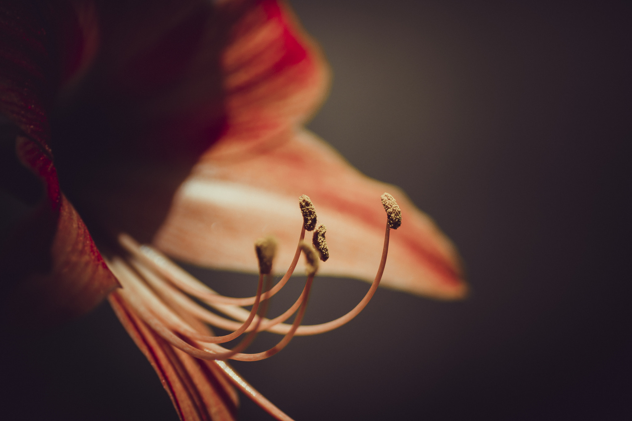 Nikon D3100 sample photo. Waiting for vectors photography