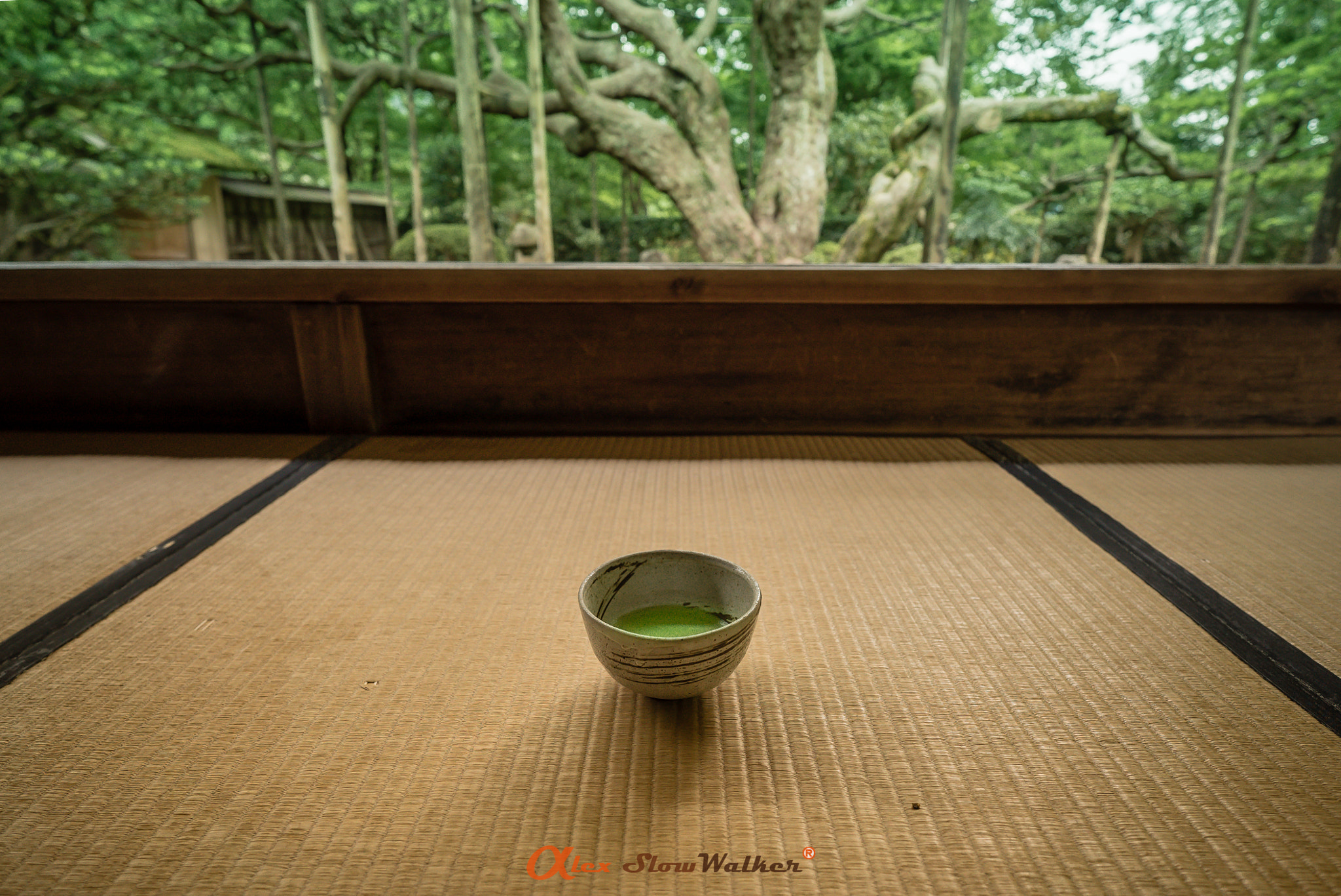 ZEISS Batis 18mm F2.8 sample photo. Hozenin temple photography