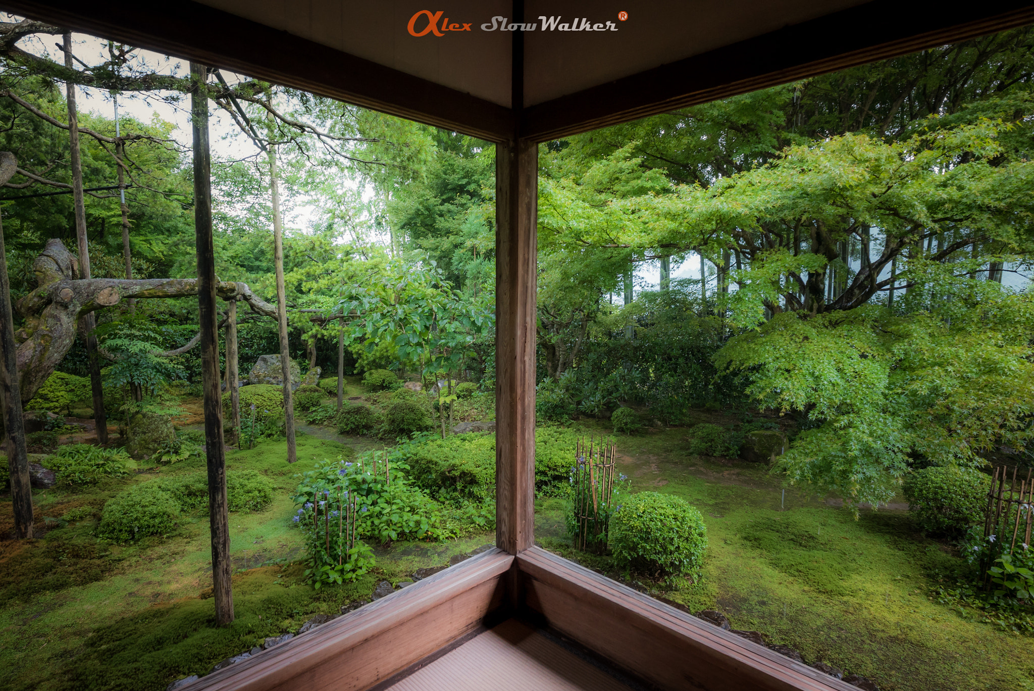 ZEISS Batis 18mm F2.8 sample photo. Hozenin temple photography