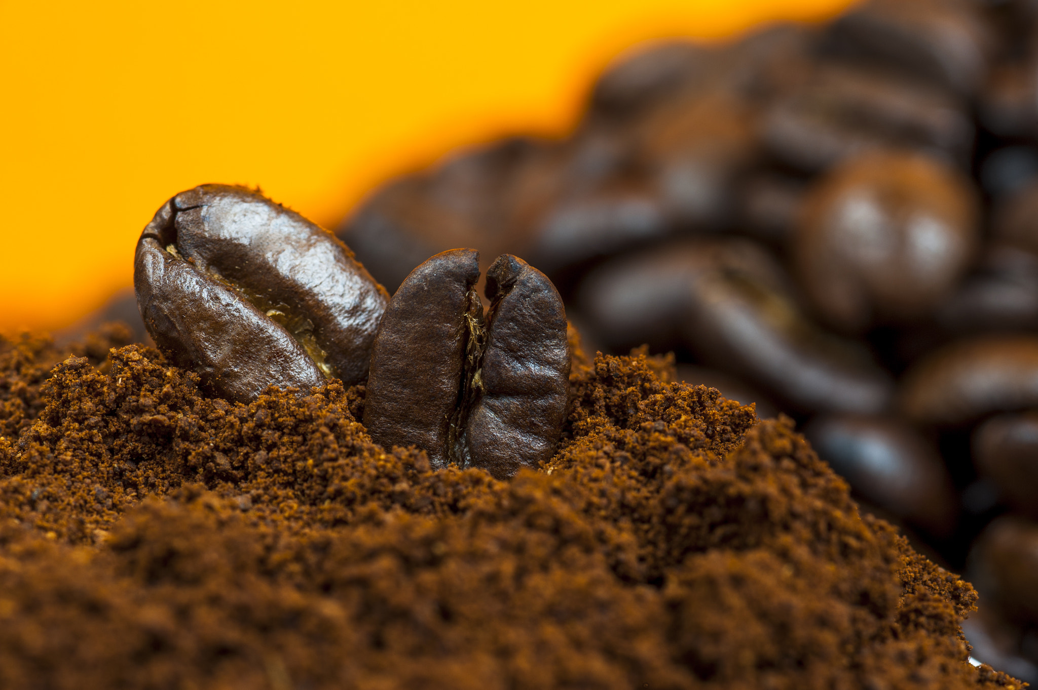 Nikon D700 + AF Micro-Nikkor 105mm f/2.8 sample photo. Coffee beans and ground coffee on orange background. photography