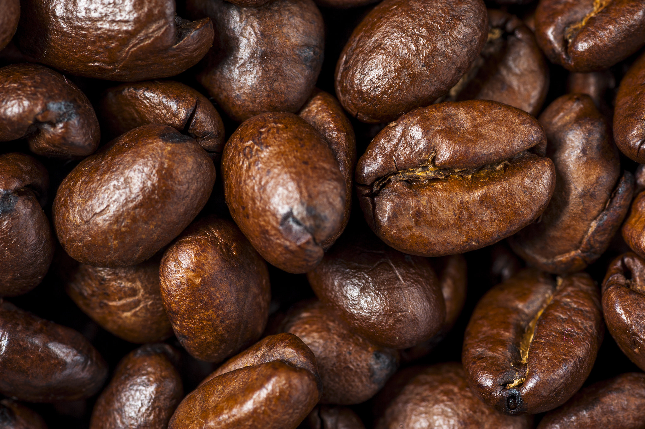 Nikon D700 + AF Micro-Nikkor 105mm f/2.8 sample photo. Roasted coffee beans background. photography
