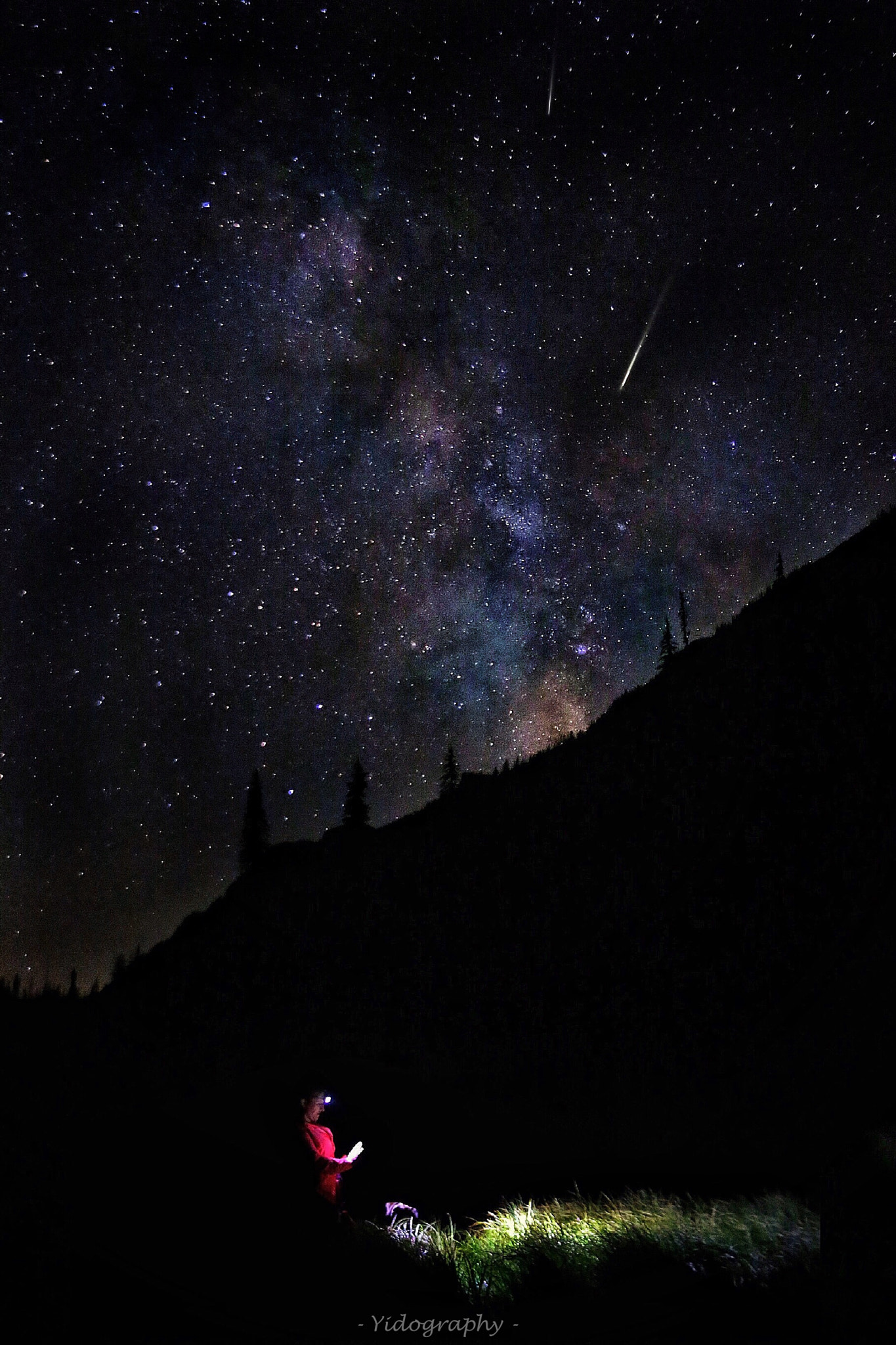 Canon EOS 6D + Canon 24-70mm sample photo. K9 training under a milky way sky photography