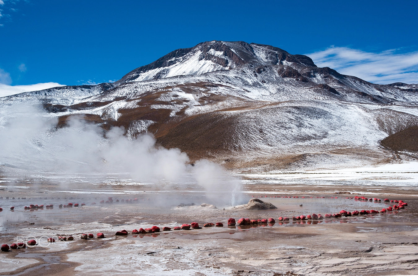 Sony Alpha DSLR-A900 + 35-70mm F4 sample photo. Geysires del tatio (2) photography