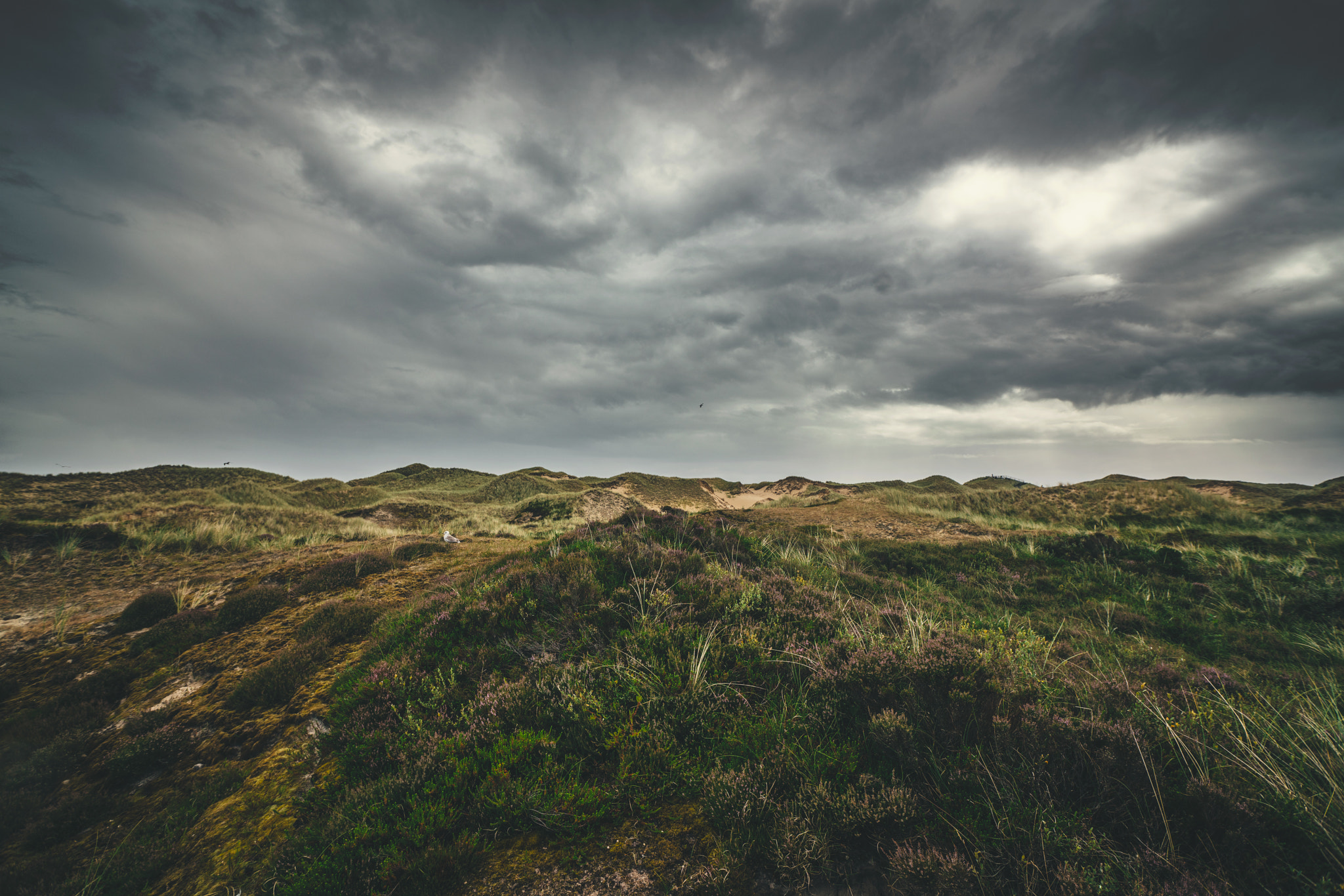 Sony a7R II + Sony Vario-Sonnar T* 16-35mm F2.8 ZA SSM sample photo. Moody amrum photography