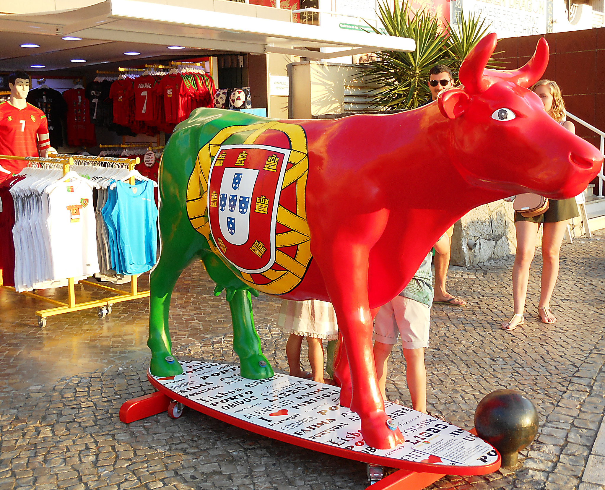 Nikon COOLPIX S6700 sample photo. Portuguese cow photography