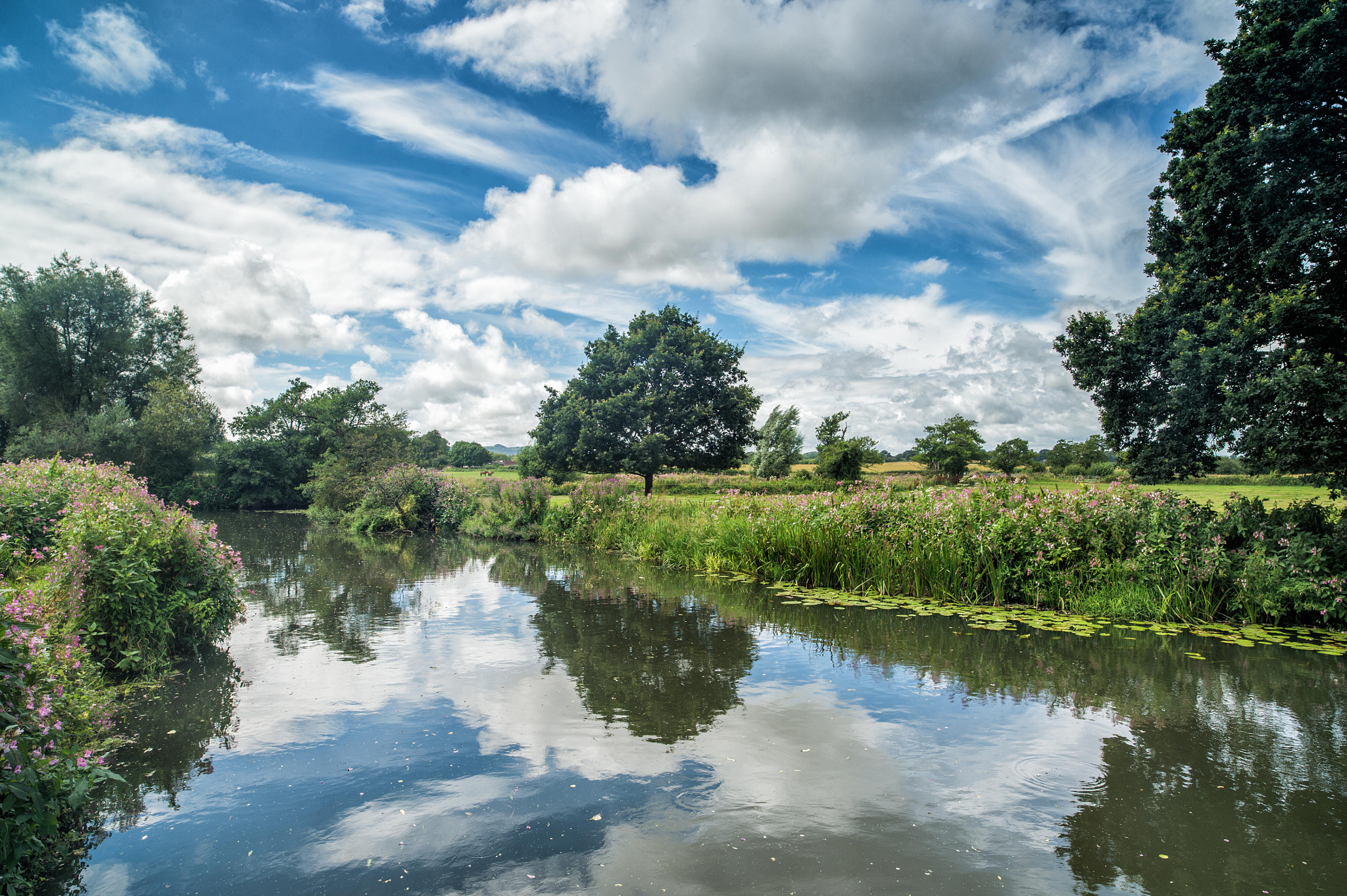Nikon Df sample photo. Barcombe mills, east sussex 2016 photography