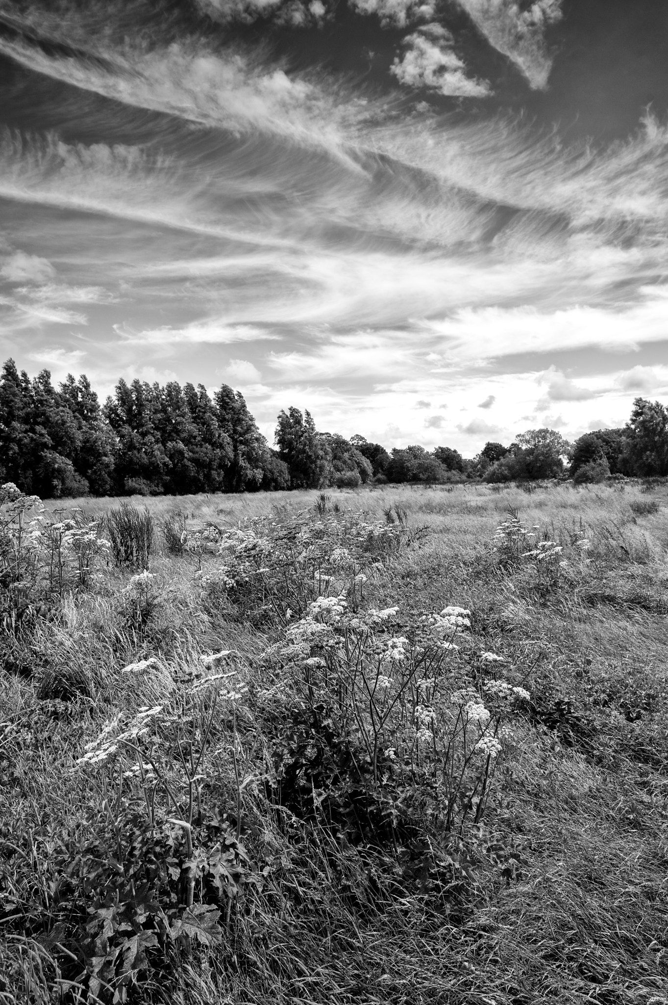 Nikon Df sample photo. Barcombe mills, east sussex 2016 photography