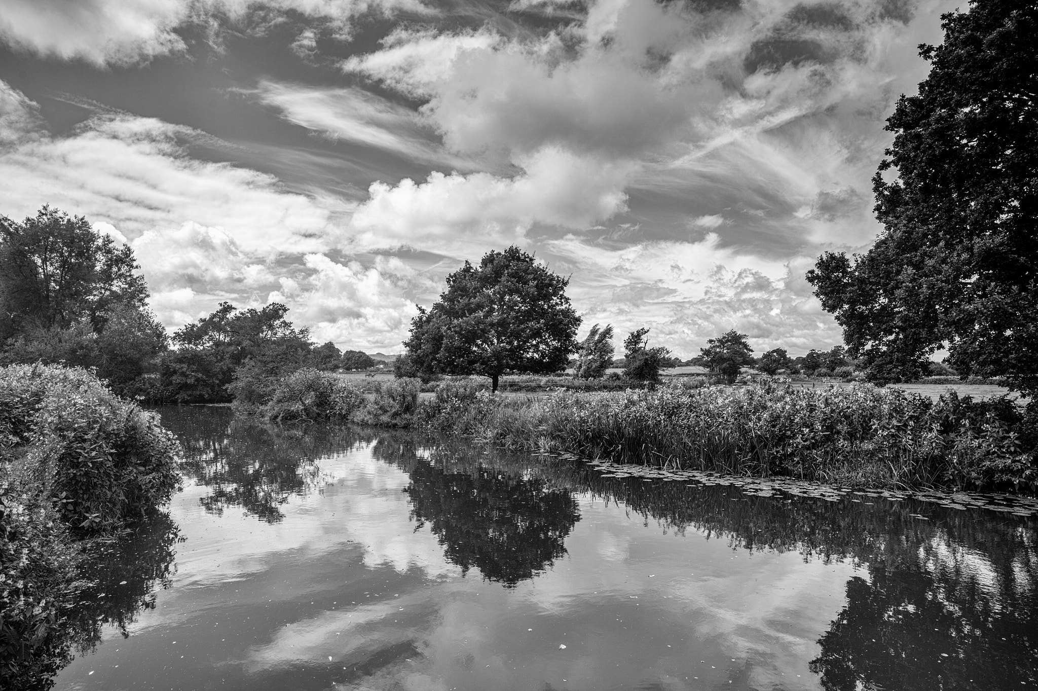 Nikon Df + ZEISS Distagon T* 21mm F2.8 sample photo. Barcombe mills, east sussex 2016 photography