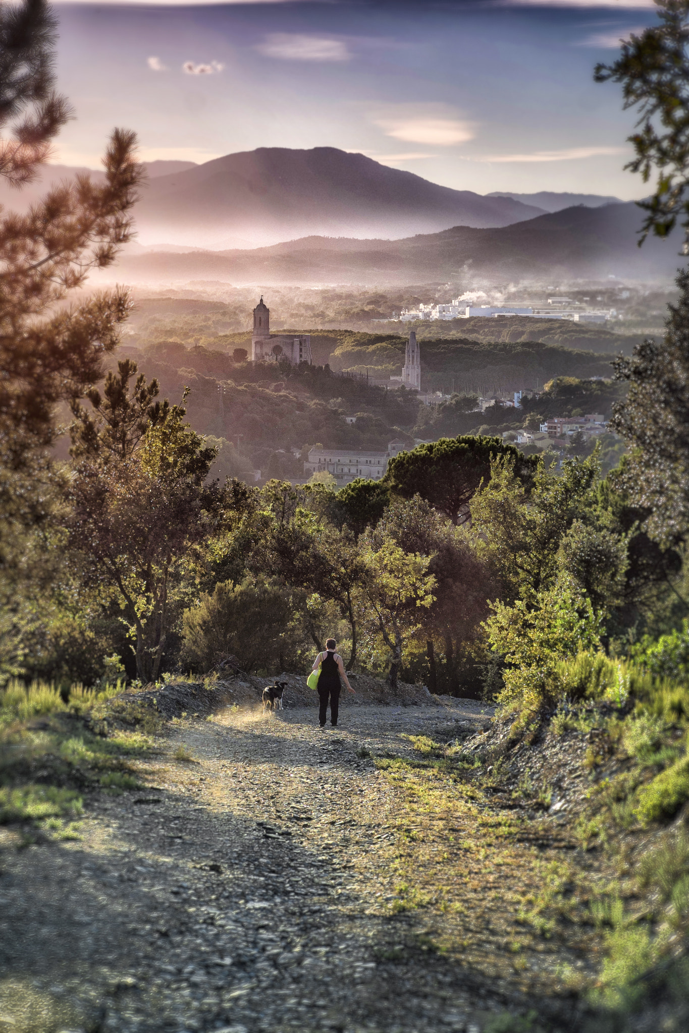 Fujifilm X-Pro1 + Fujifilm XF 60mm F2.4 R Macro sample photo. Fotos jordi renart () photography
