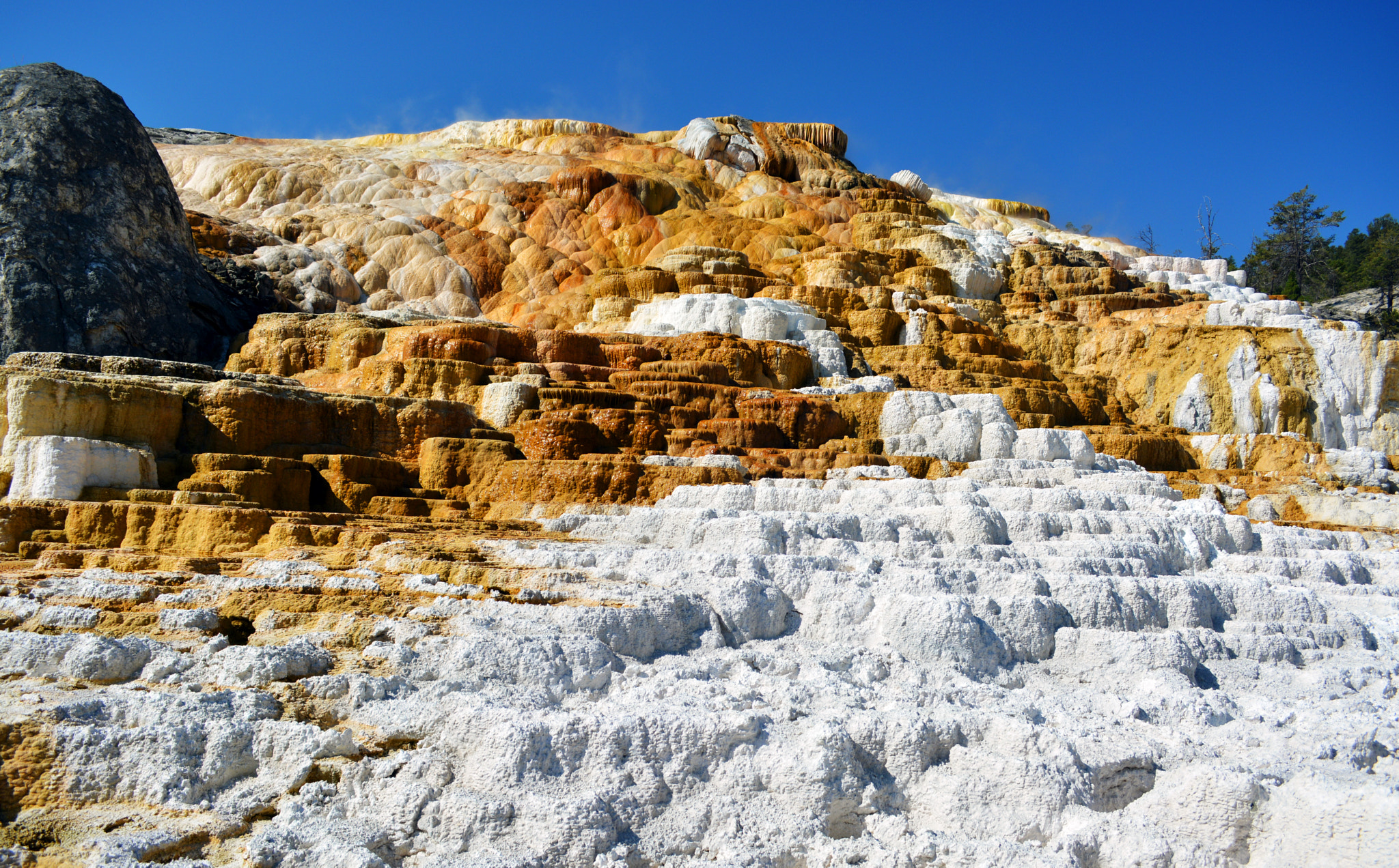 AF Zoom-Nikkor 28-80mm f/3.5-5.6D sample photo. Mammoth hot springs photography