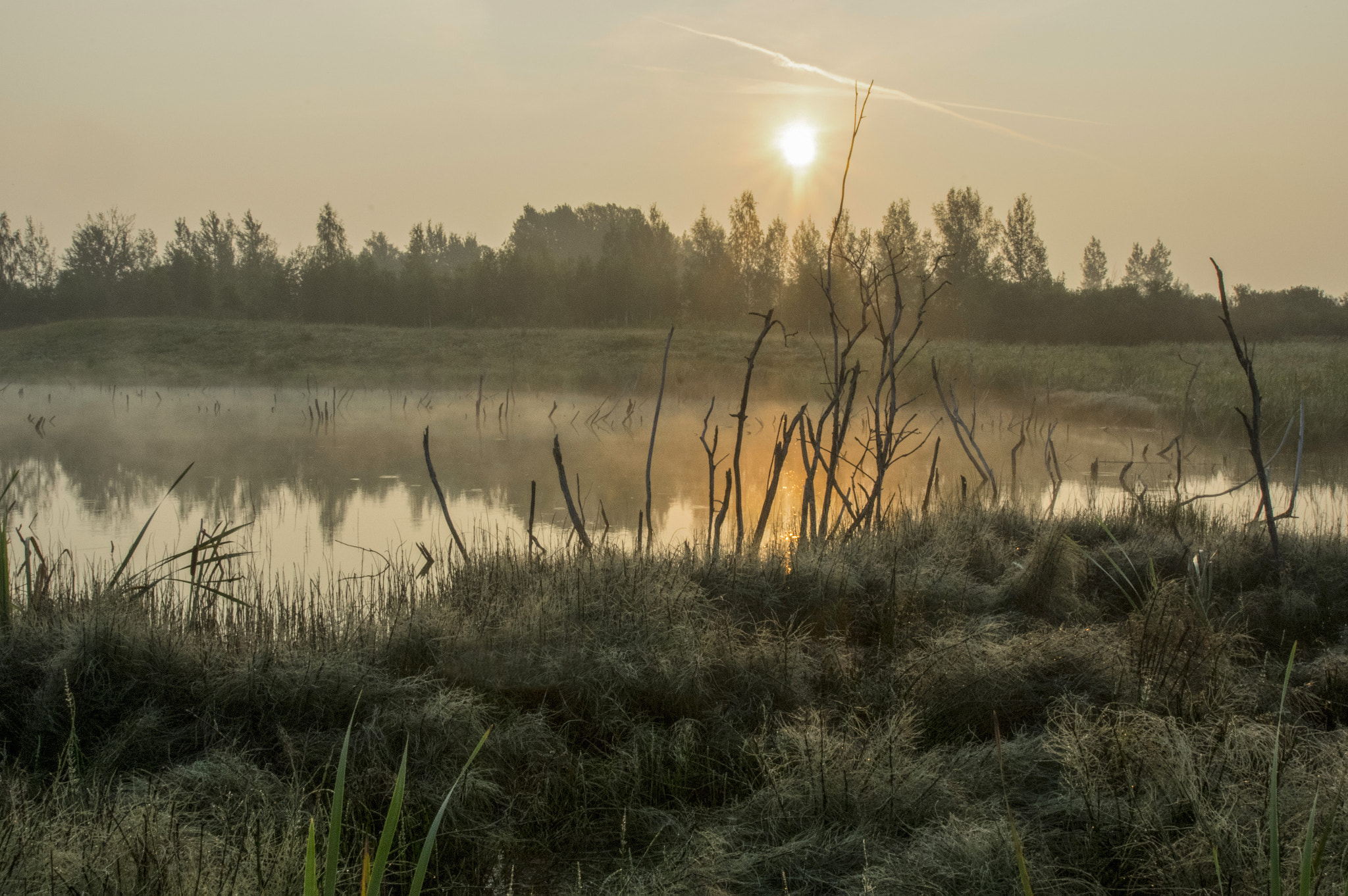 Pentax K-3 II sample photo. Summer morning photography