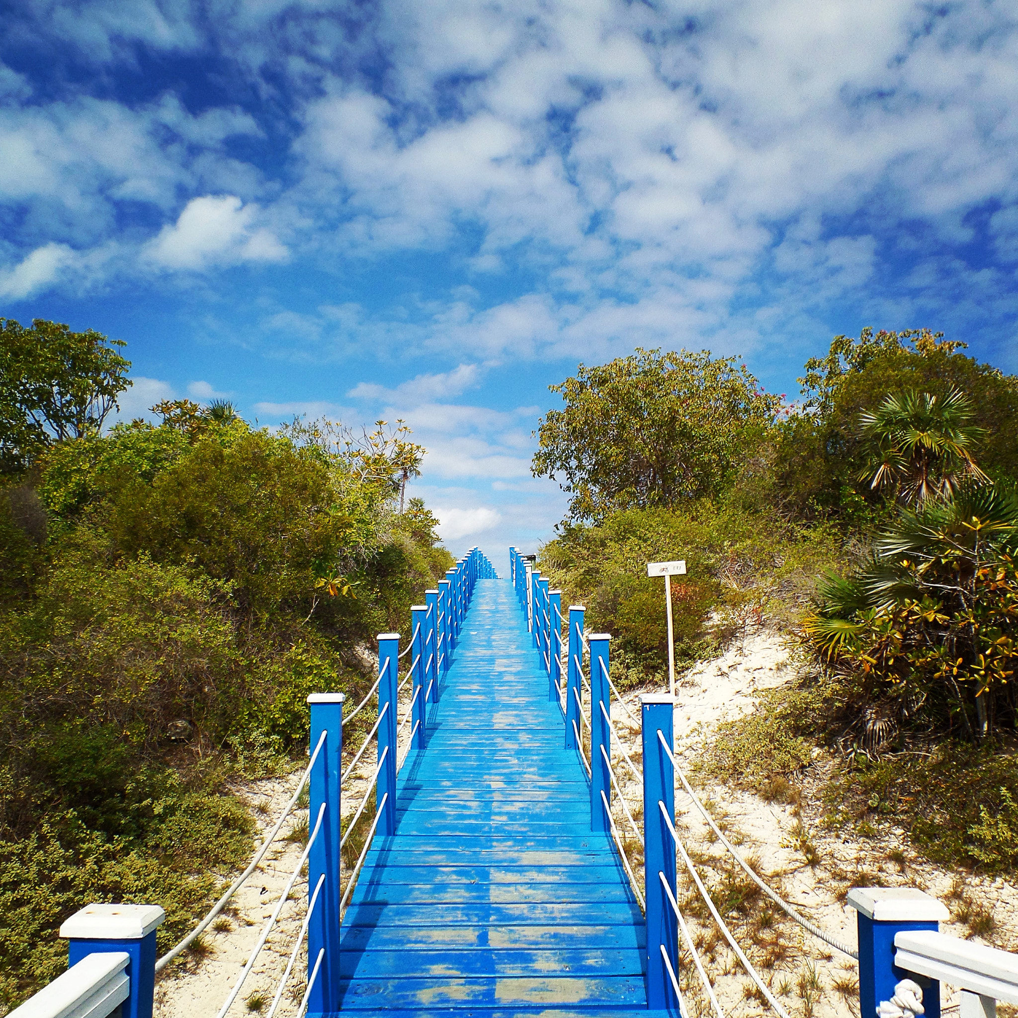 Samsung WB800F sample photo. Cuba playa pilar  , the way to the beautiful beach . photography