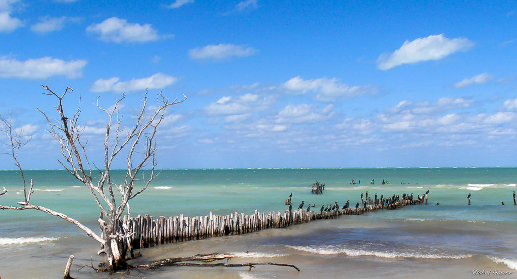 Olympus VR310,D720 sample photo. Isla holbox photography