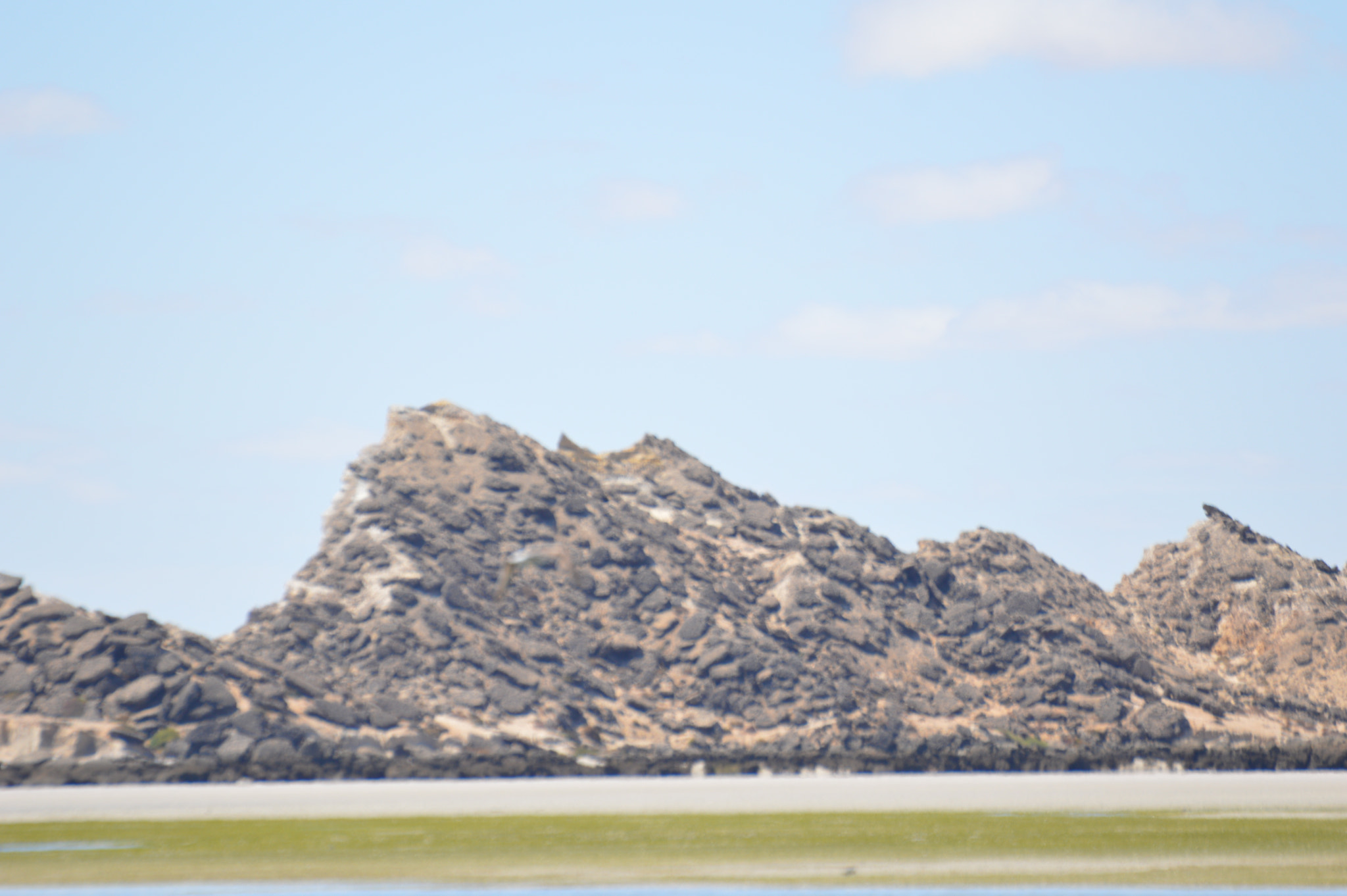 Nikon D3200 + Sigma 70-300mm F4-5.6 DG OS sample photo. Dakhla morocoo photography