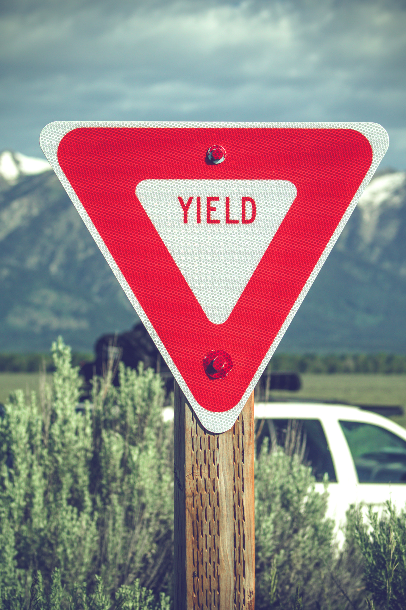 Sony 75-300mm F4.5-5.6 sample photo. Large red yield sign in a countryside photography