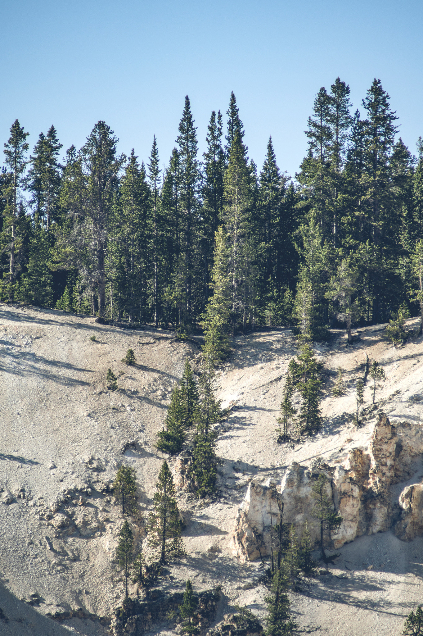 Sony 75-300mm F4.5-5.6 sample photo. Pine trees on a hillside photography