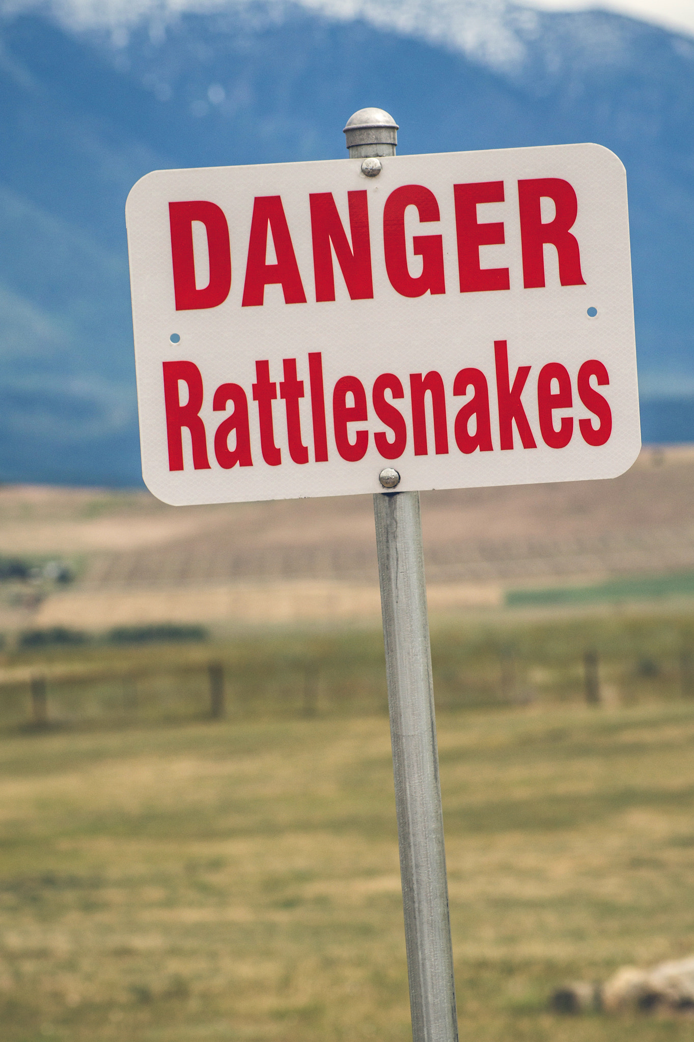 Sony 75-300mm F4.5-5.6 sample photo. Rattlesnake warning sign in usa photography