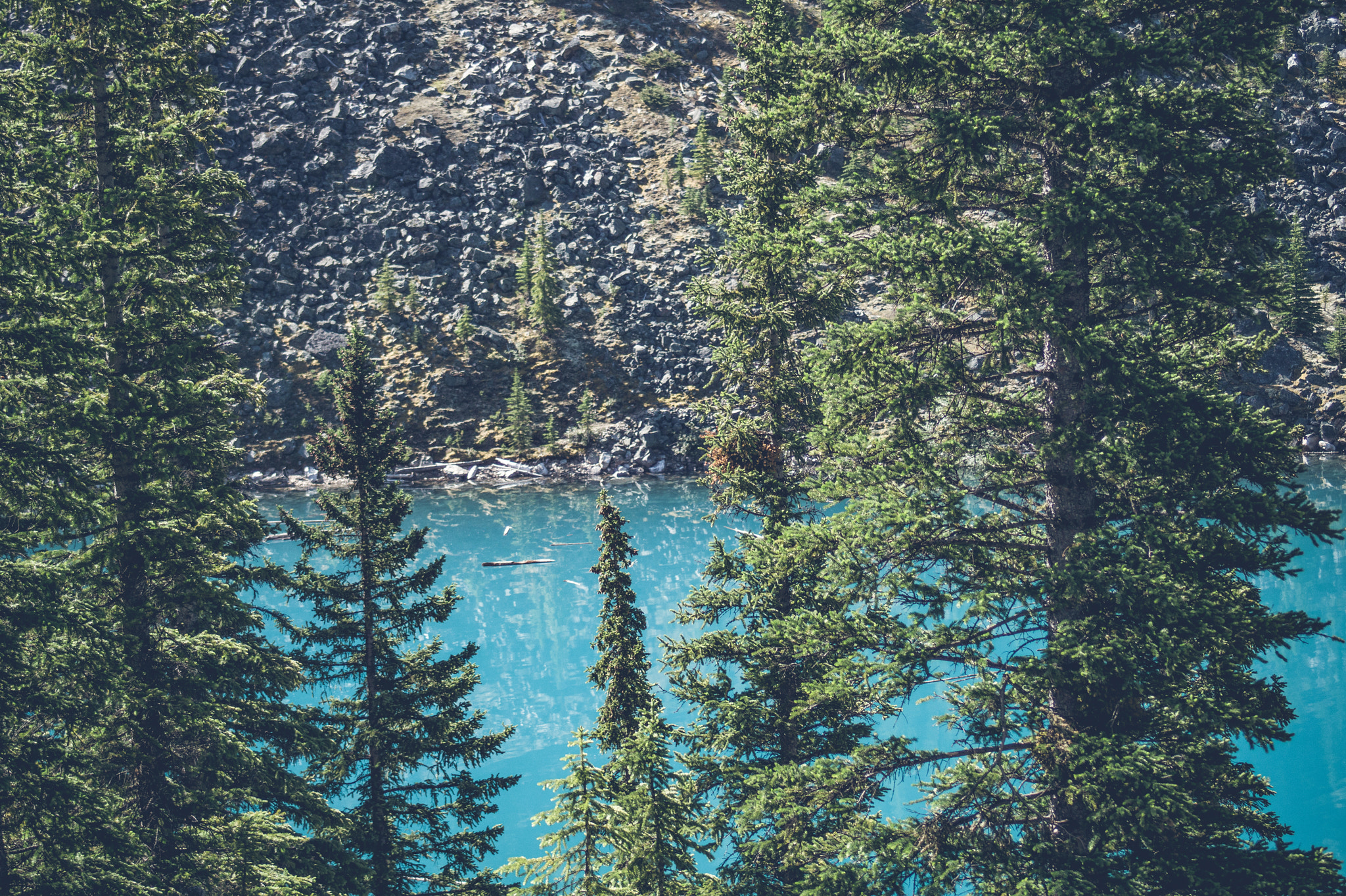 Sony 75-300mm F4.5-5.6 sample photo. Pine trees by a mountain lake photography