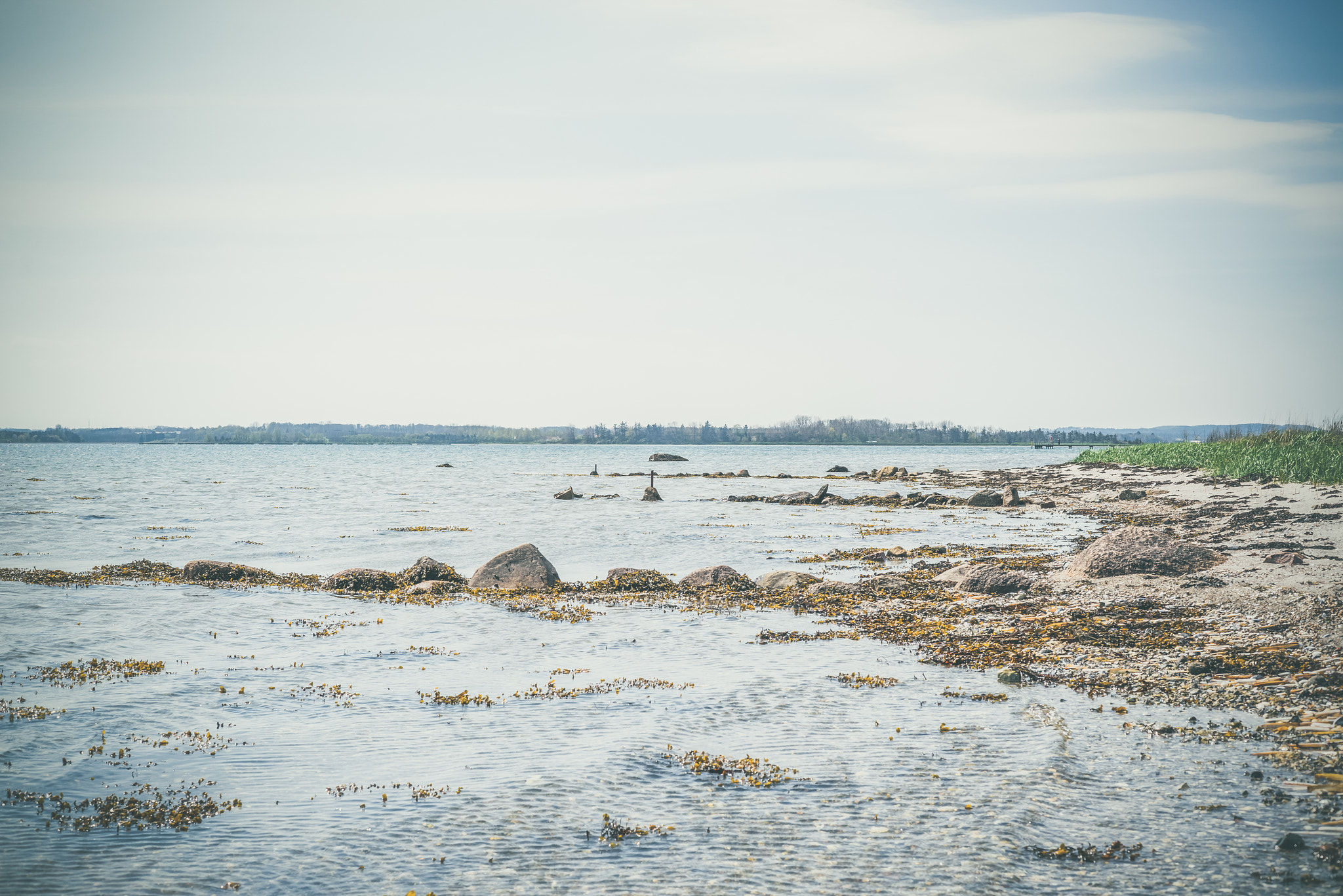 Sony a7R + Sony 50mm F1.4 sample photo. Beach with rocks by the sea photography