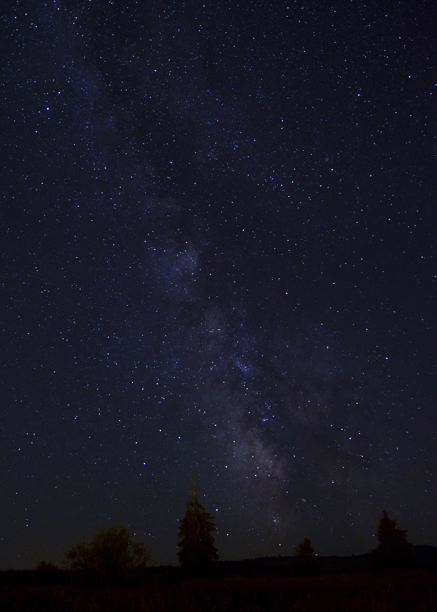 Pentax K-500 sample photo. Starry night photography