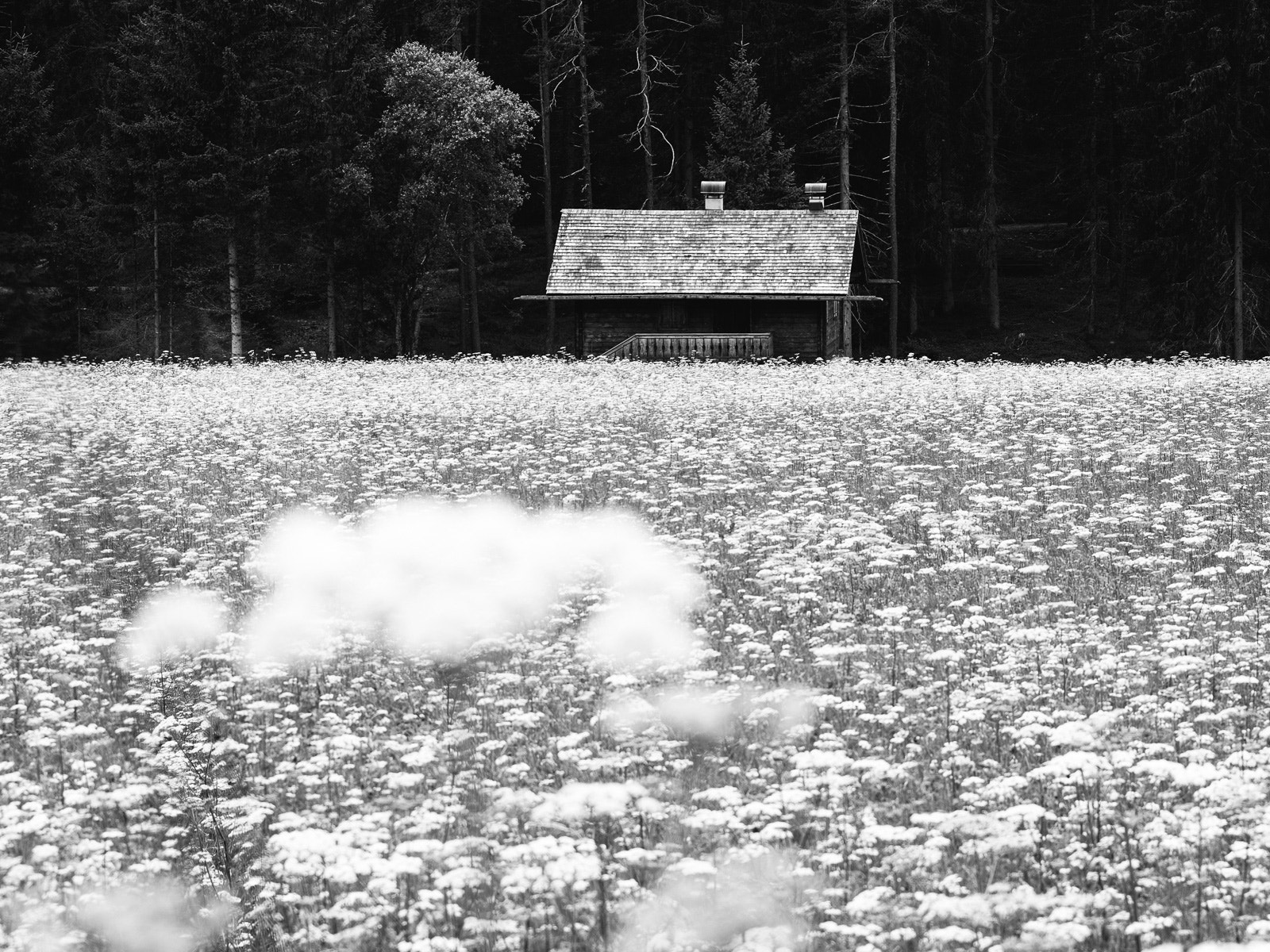Olympus OM-D E-M5 sample photo. Dolomiti2016 photography