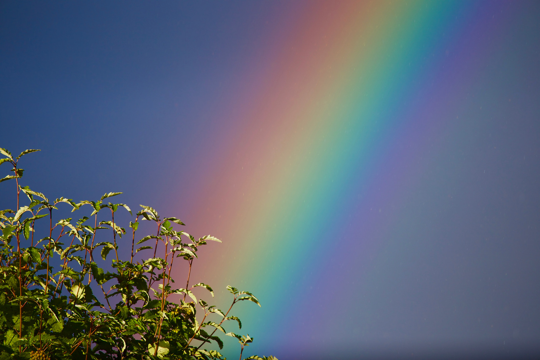 Canon EF 100-400mm F4.5-5.6L IS USM sample photo. Pretty rare for a rainbow these days. quite magnificent to see photography