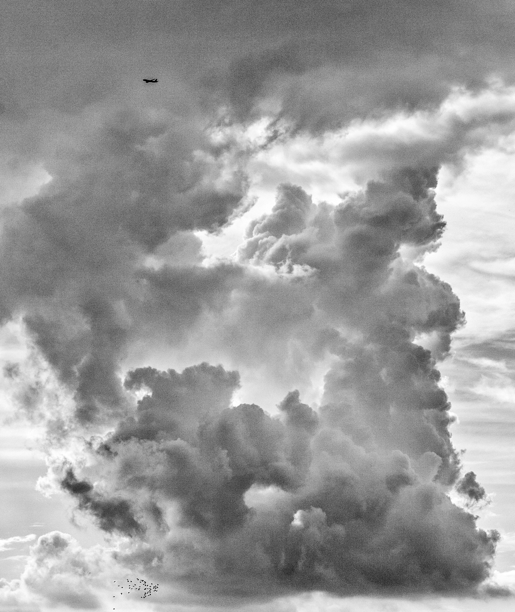 Sigma 18-250mm F3.5-6.3 DC OS HSM sample photo. Clouds, aeroplane and birds photography