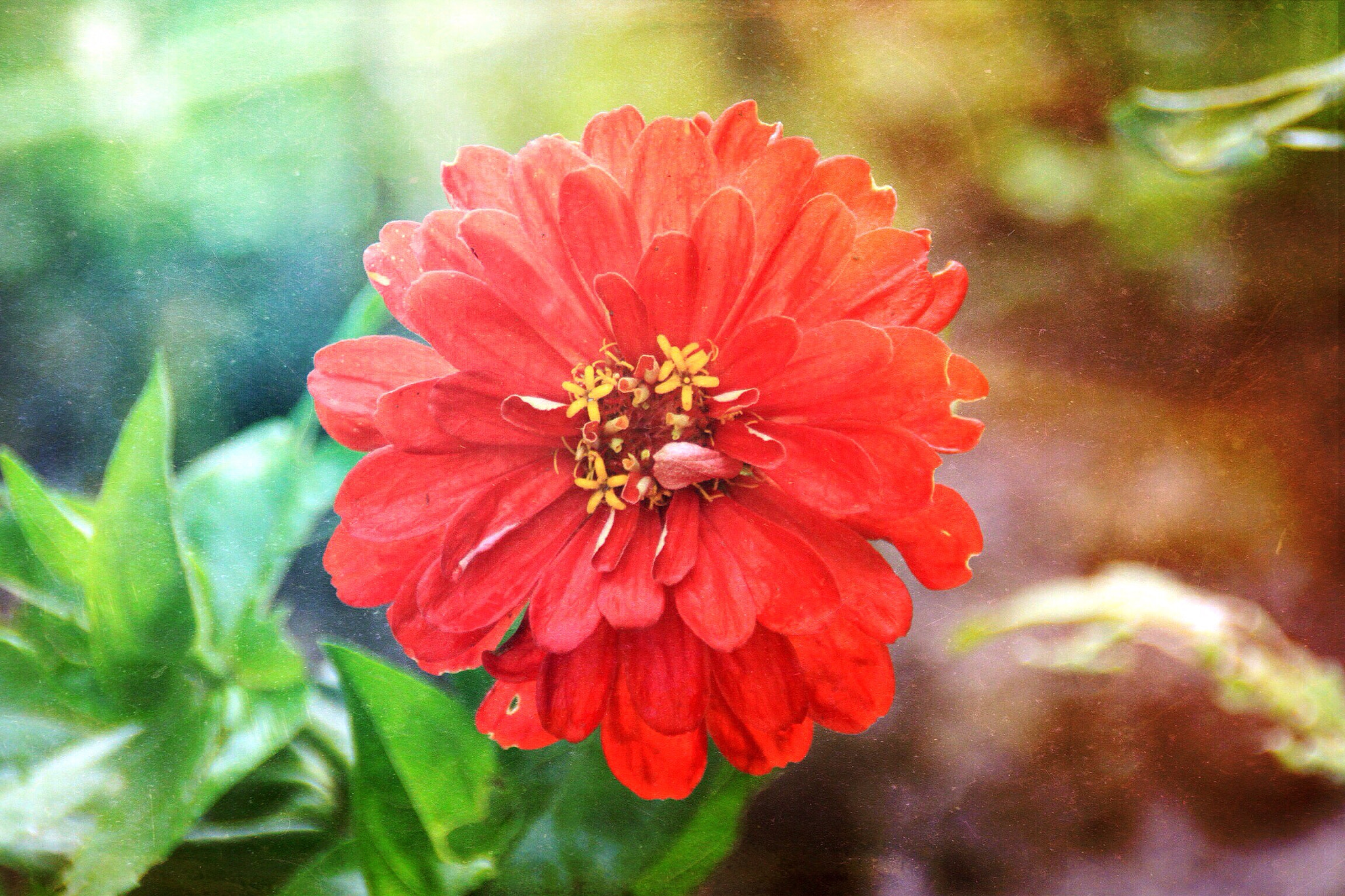 Canon EOS 50D sample photo