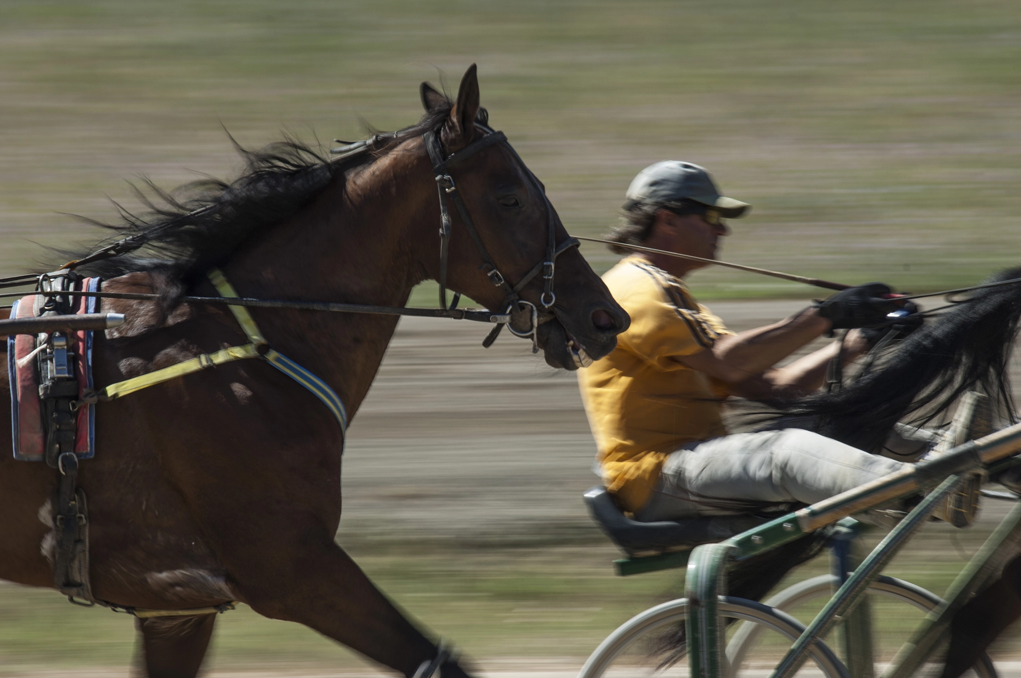 Sigma 70-200mm F2.8 EX DG OS HSM sample photo. Racing photography