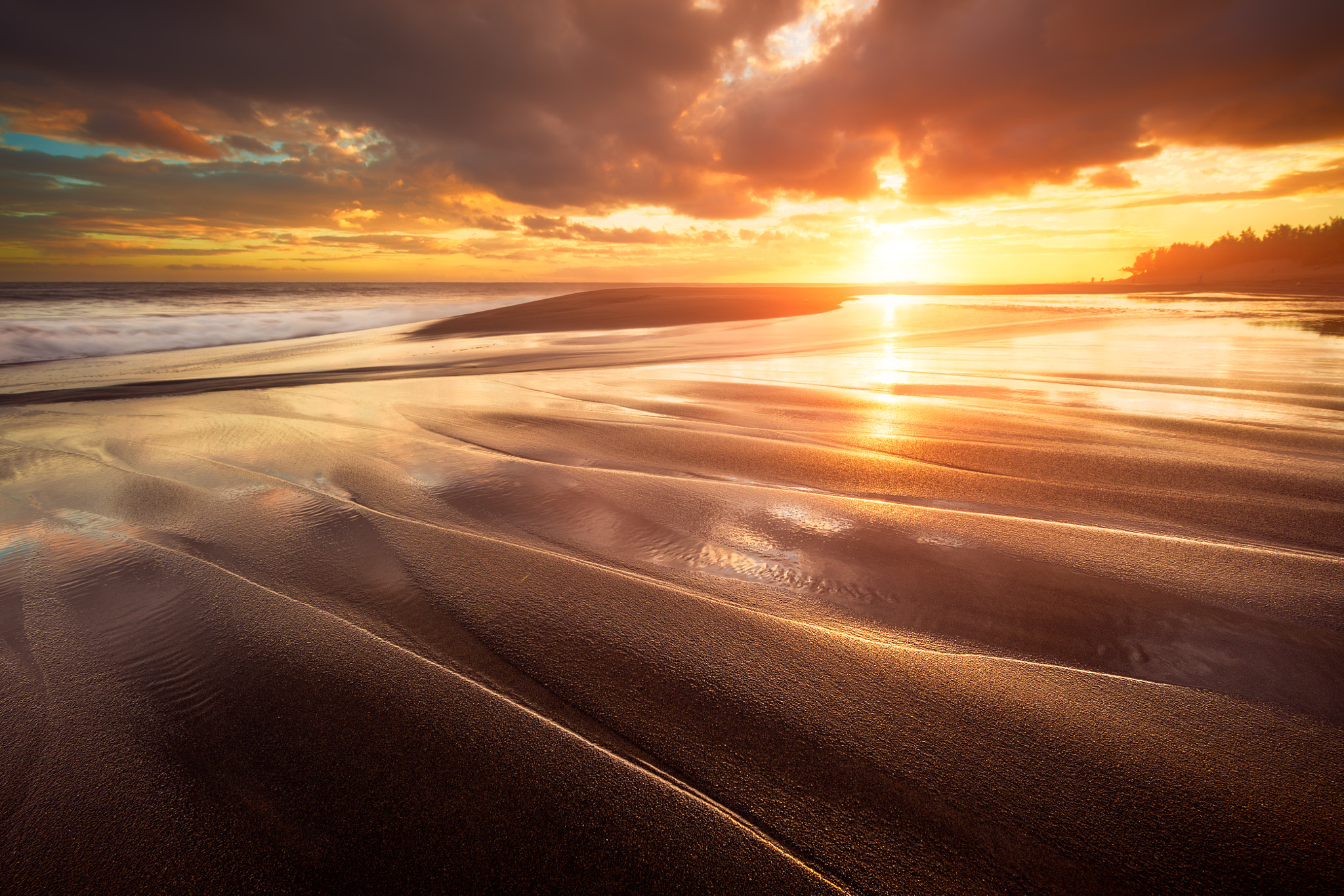 Canon EF 14mm F2.8L II USM sample photo. Golden beach photography