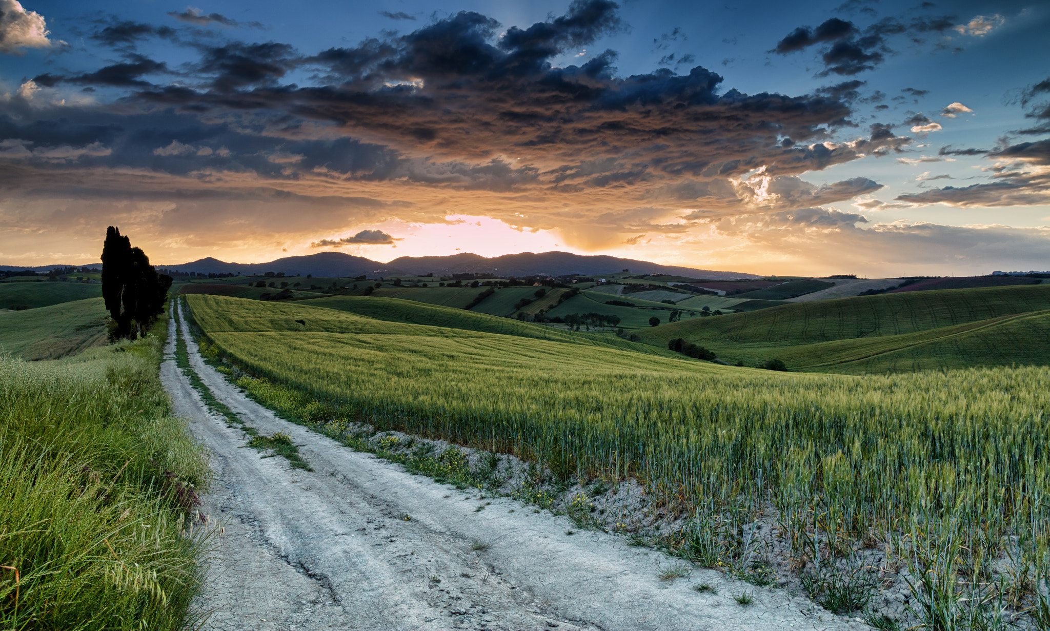 Road to Dream