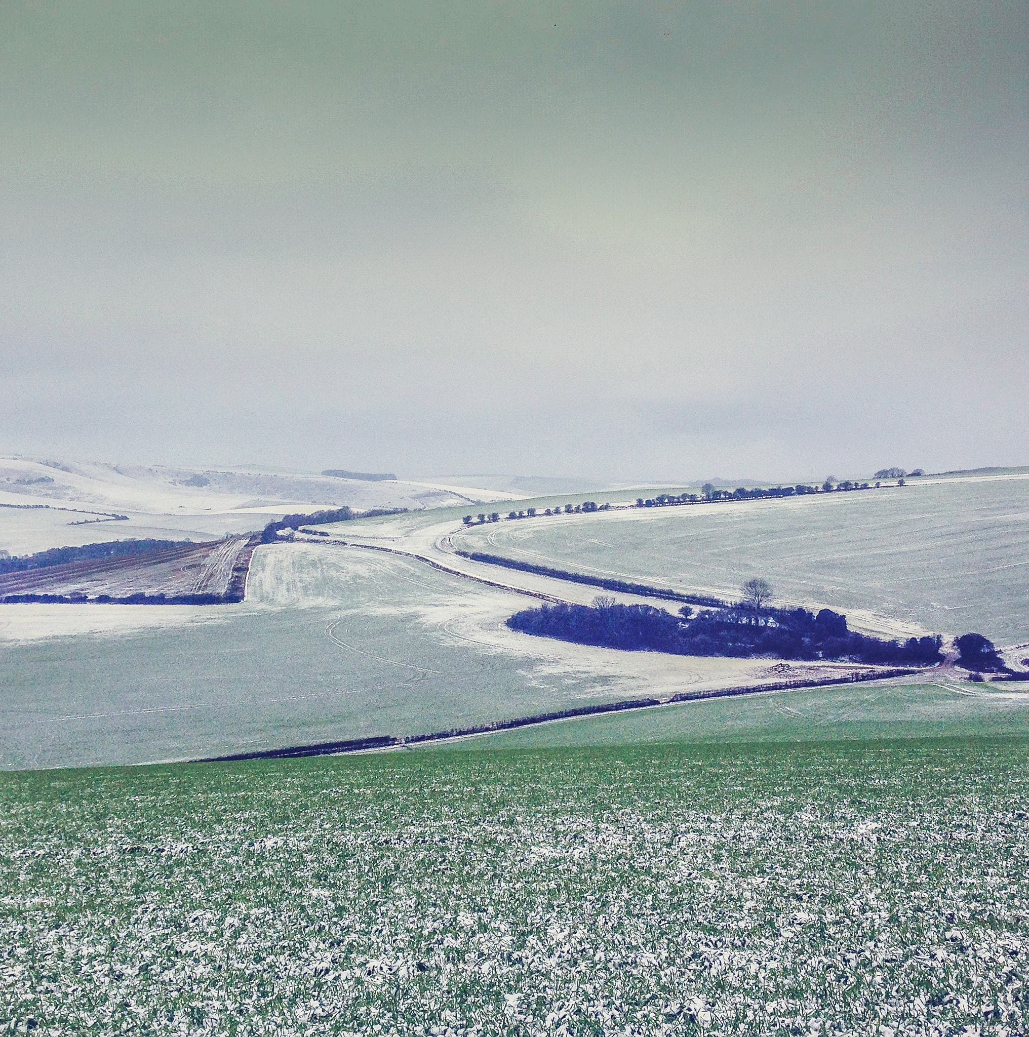 Hipstamatic 280 sample photo. Overlooking old lewes racecourse in mid-winter photography