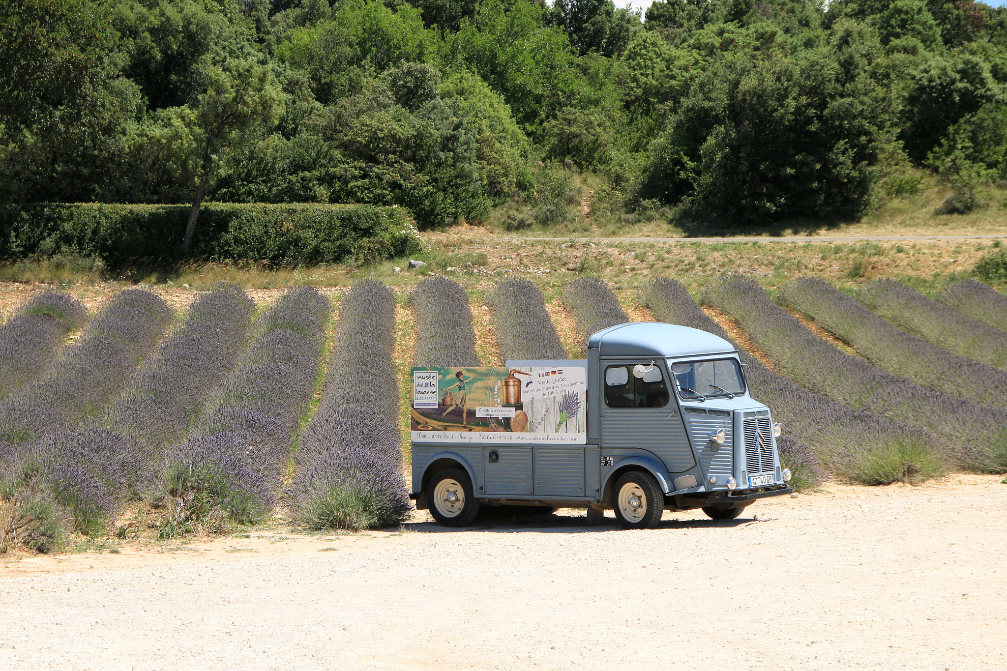 Sigma 18-125mm F3.8-5.6 DC OS HSM sample photo. Provence 2016 photography