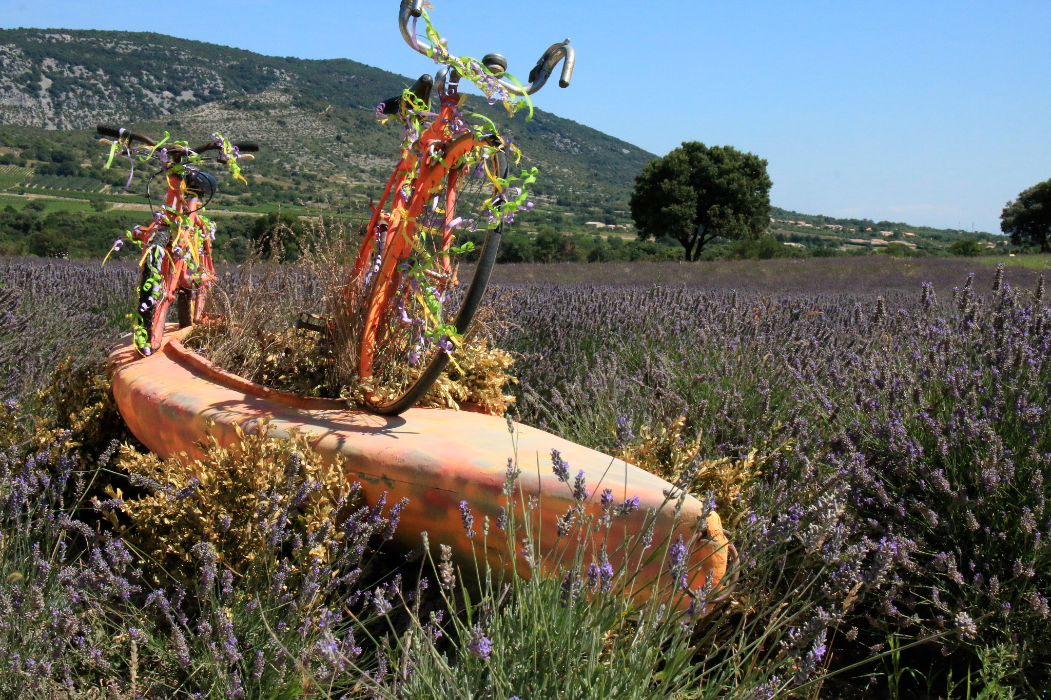 Sigma 18-125mm F3.8-5.6 DC OS HSM sample photo. Provence 2016 photography