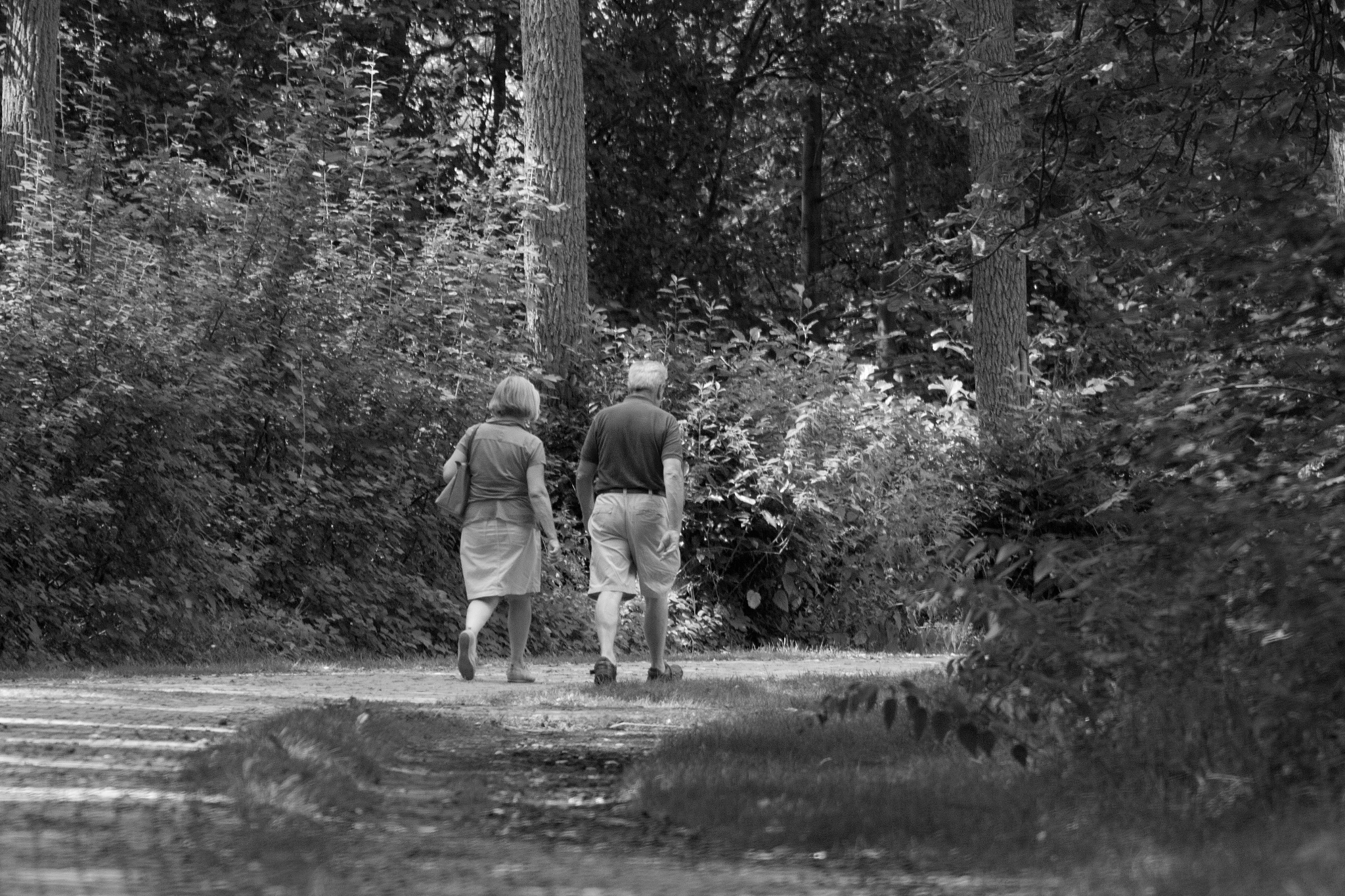 Canon EF 200mm f/2.8L II + 2x sample photo. Shades of grey photography