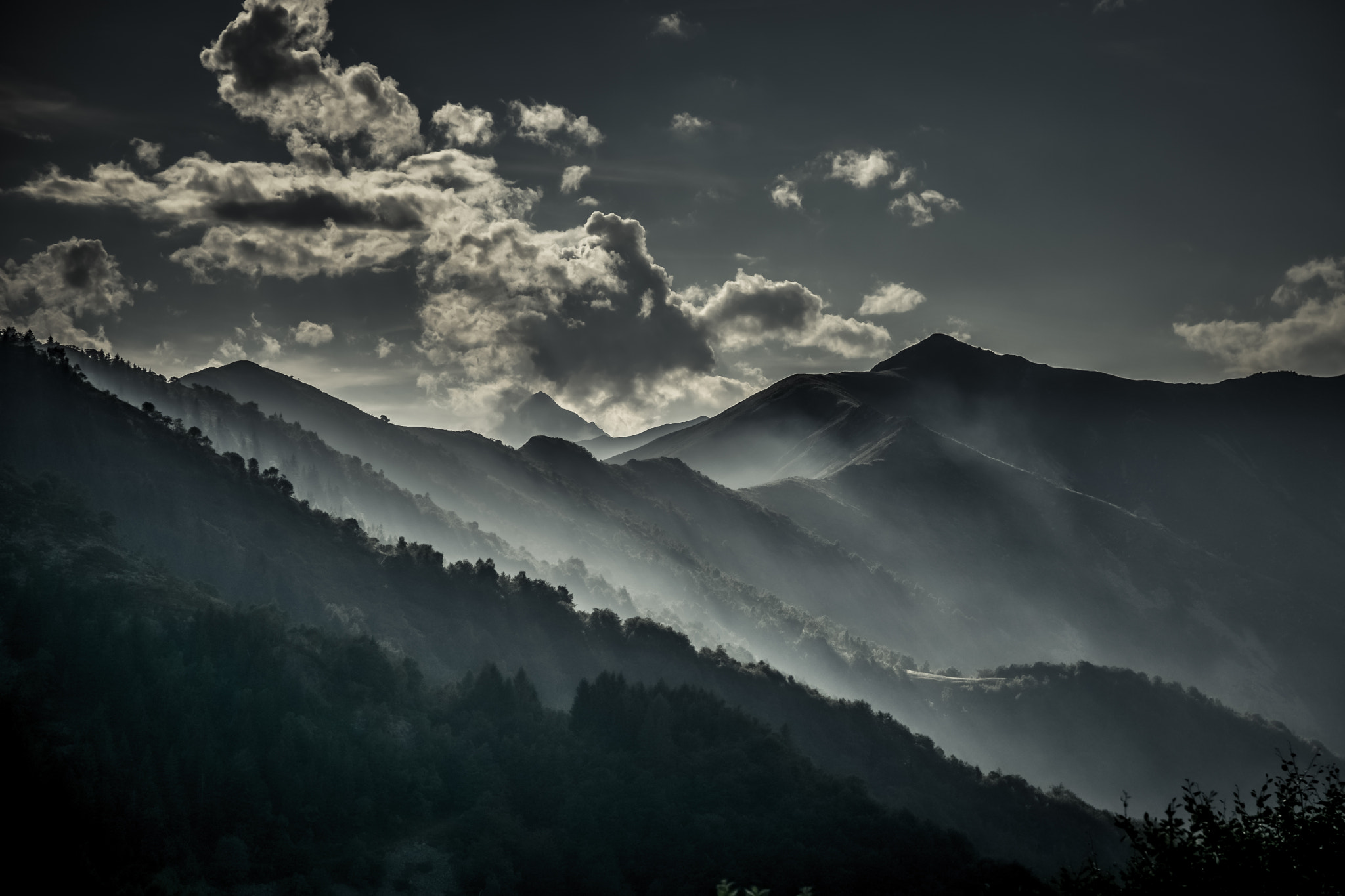 Nikon D500 sample photo. Vengeance photography