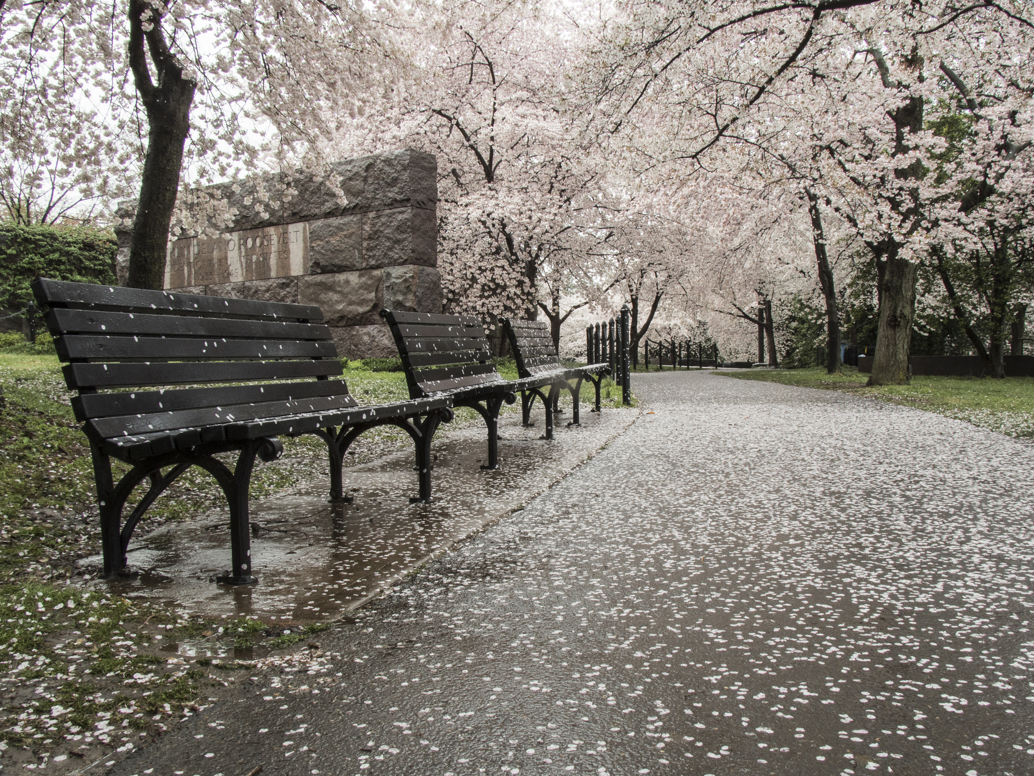 Tamron 14-150mm F3.5-5.8 Di III sample photo. Franklin delano roosevelt memorial photography