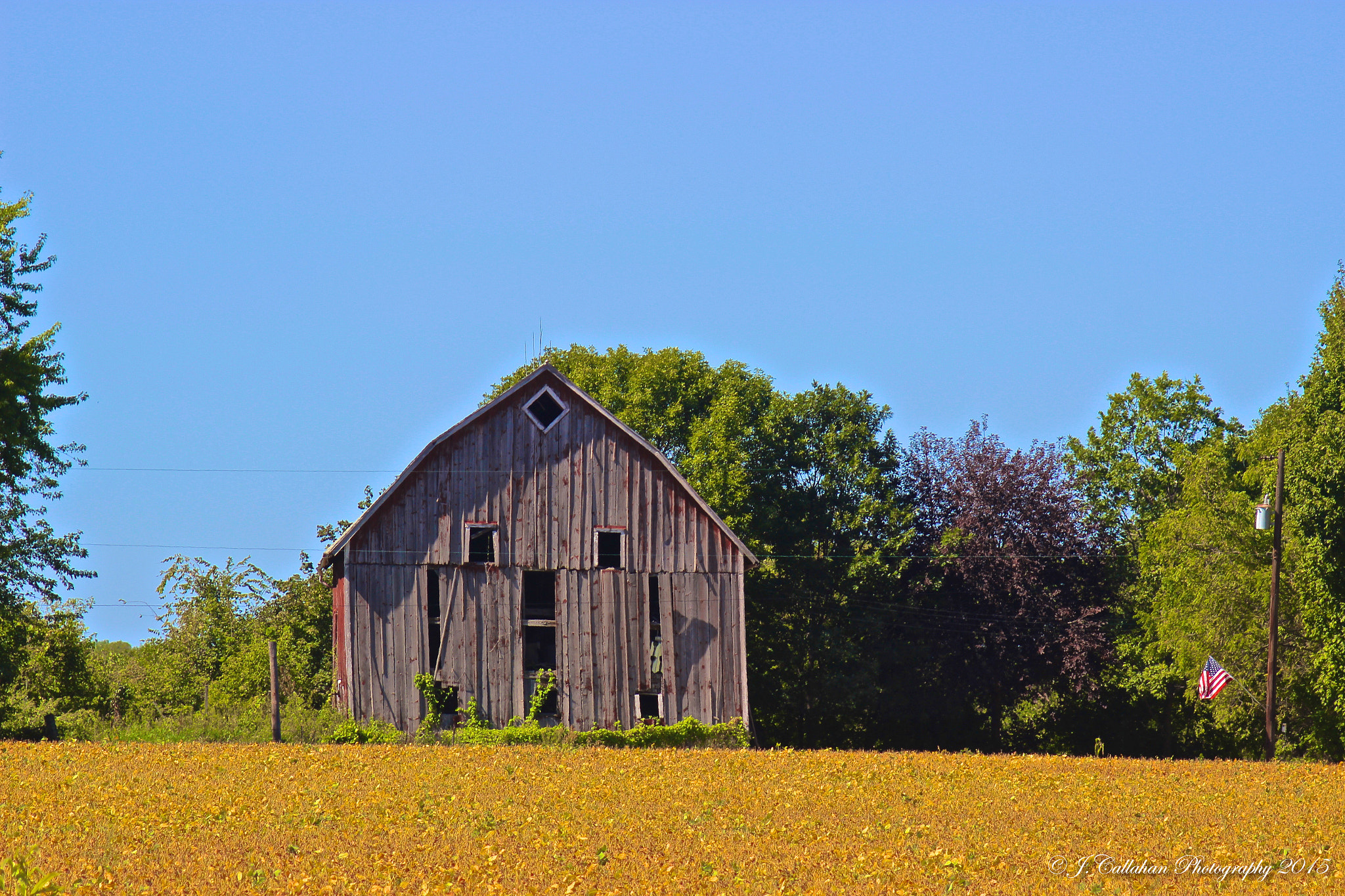 Canon EF 80-200mm F4.5-5.6 II sample photo. American summer photography