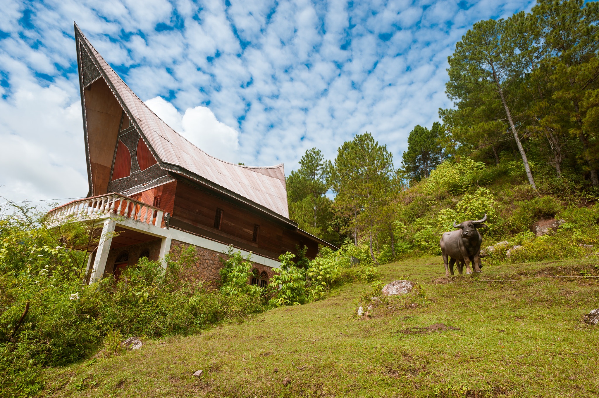 Nikon D700 + Nikon AF Nikkor 20mm F2.8D sample photo. Traditional batak house photography