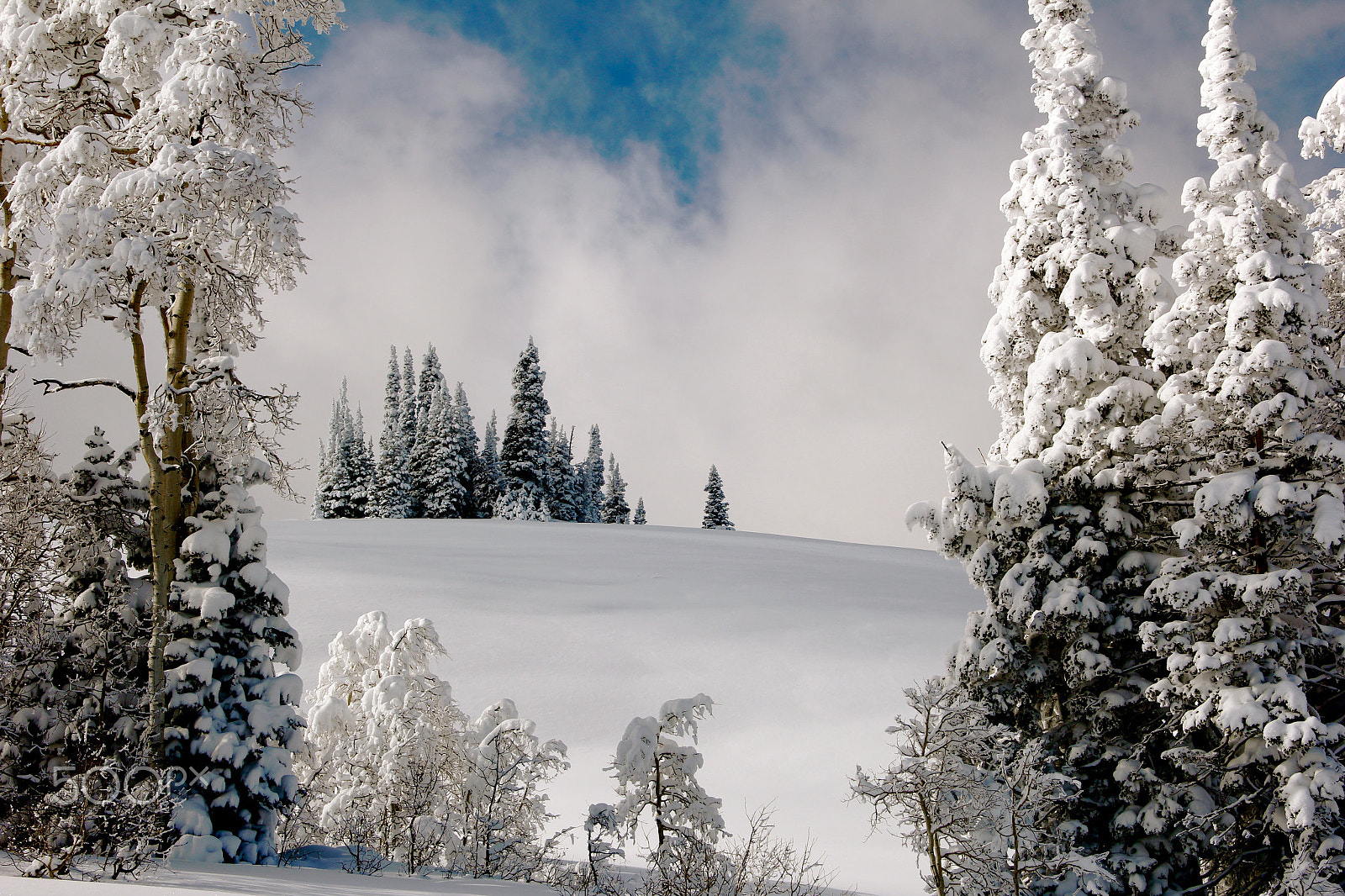 Canon EF-S 18-135mm F3.5-5.6 IS sample photo. Winter splendor photography