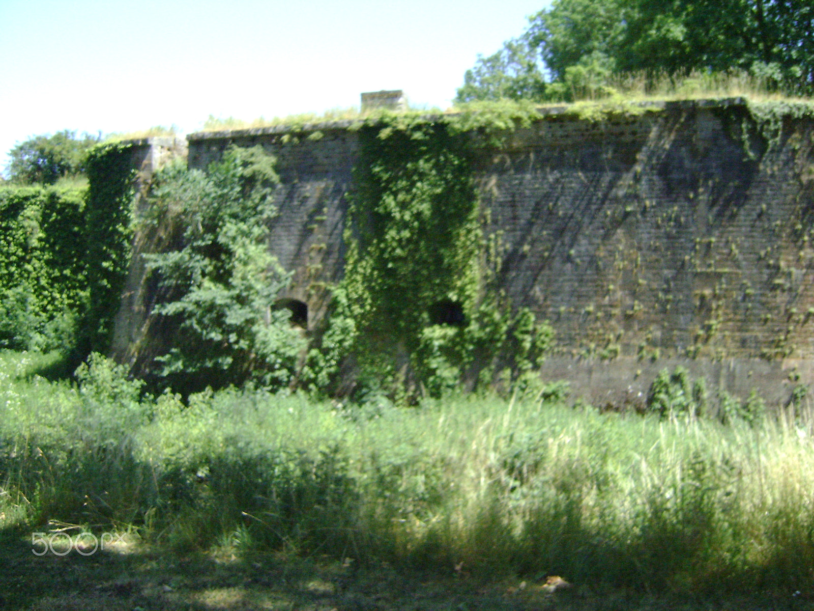 Sony DSC-S730 sample photo. Castel wall's in the nature photography